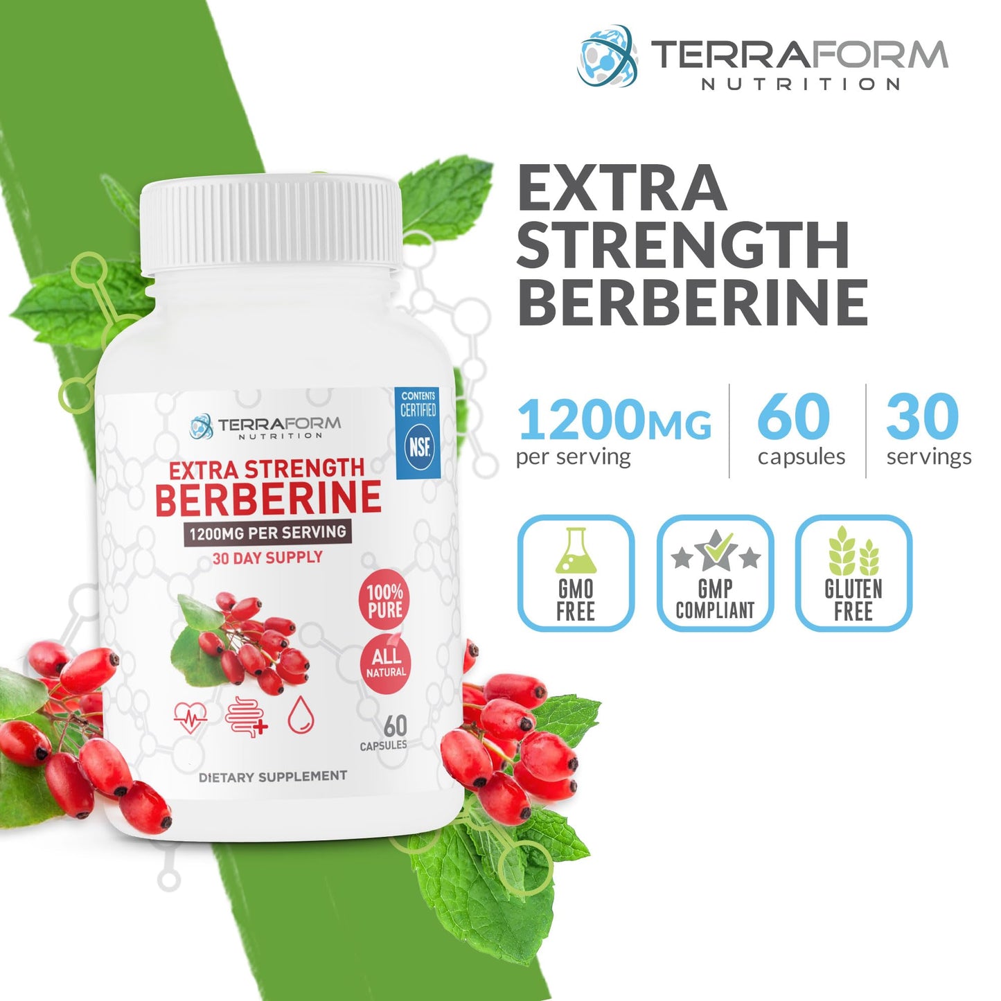 Berberine Supplement - 1200mg Max Strength Berberine HCl Per Serving - Pure Berberine - 60 Capsules, 600mg Each - 1 Month Supply - TerraForm Nutrition - Medaid International