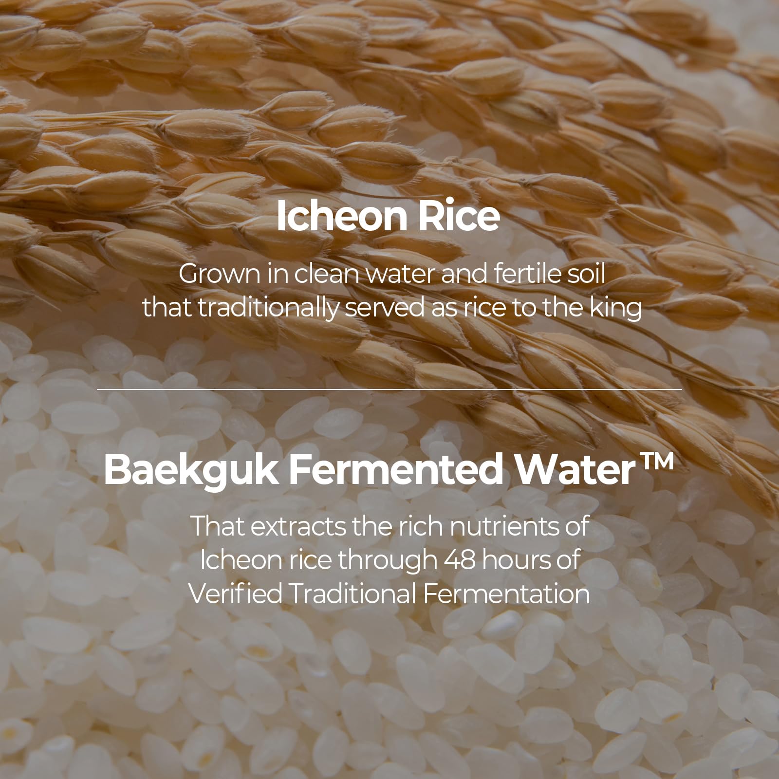 SKINFOOD Rice Serum, 48 Hours Fermented Rice Water Skincare Korean Serum for Face, Korean Rice Skincare for Natural Glow Glass Skin, Pore Minimizer, Rice Water Bright, 55ml/1.86fl.oz. - Medaid International