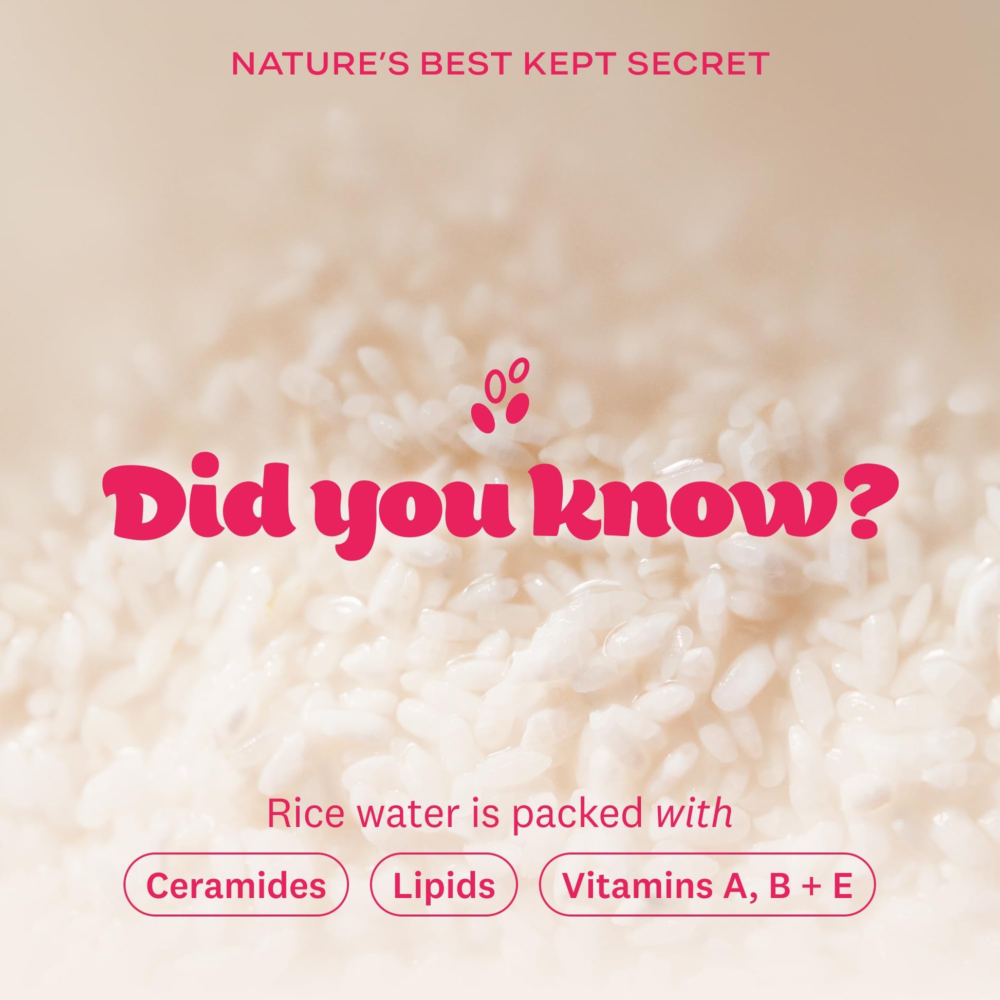 The Face Shop Rice Water Bright Vegan Cream - Instant Moisturization Quick-Absorbing Formula - Vegan, Brightening - Rice Water, Niacinamide, Hyaluronic Acid - Moisturizer Face Cream - Korean Skin Care - Medaid International