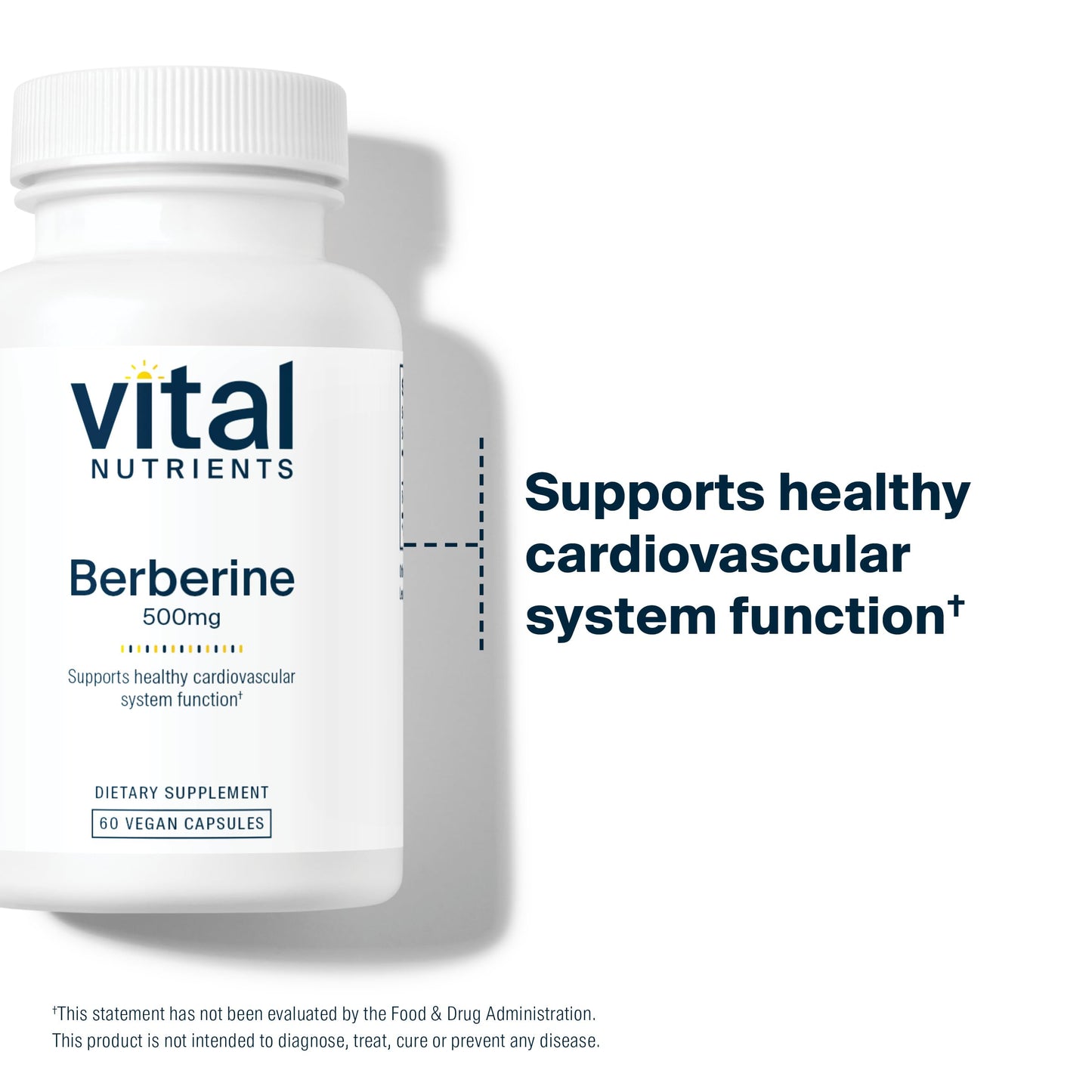 Vital Nutrients Berberine |Supports Bowel Function and Normal Triglyceride Levels |Vegan Supplement| Gluten, Dairy, and Soy Free |500 mg |60 Capsule - Medaid International