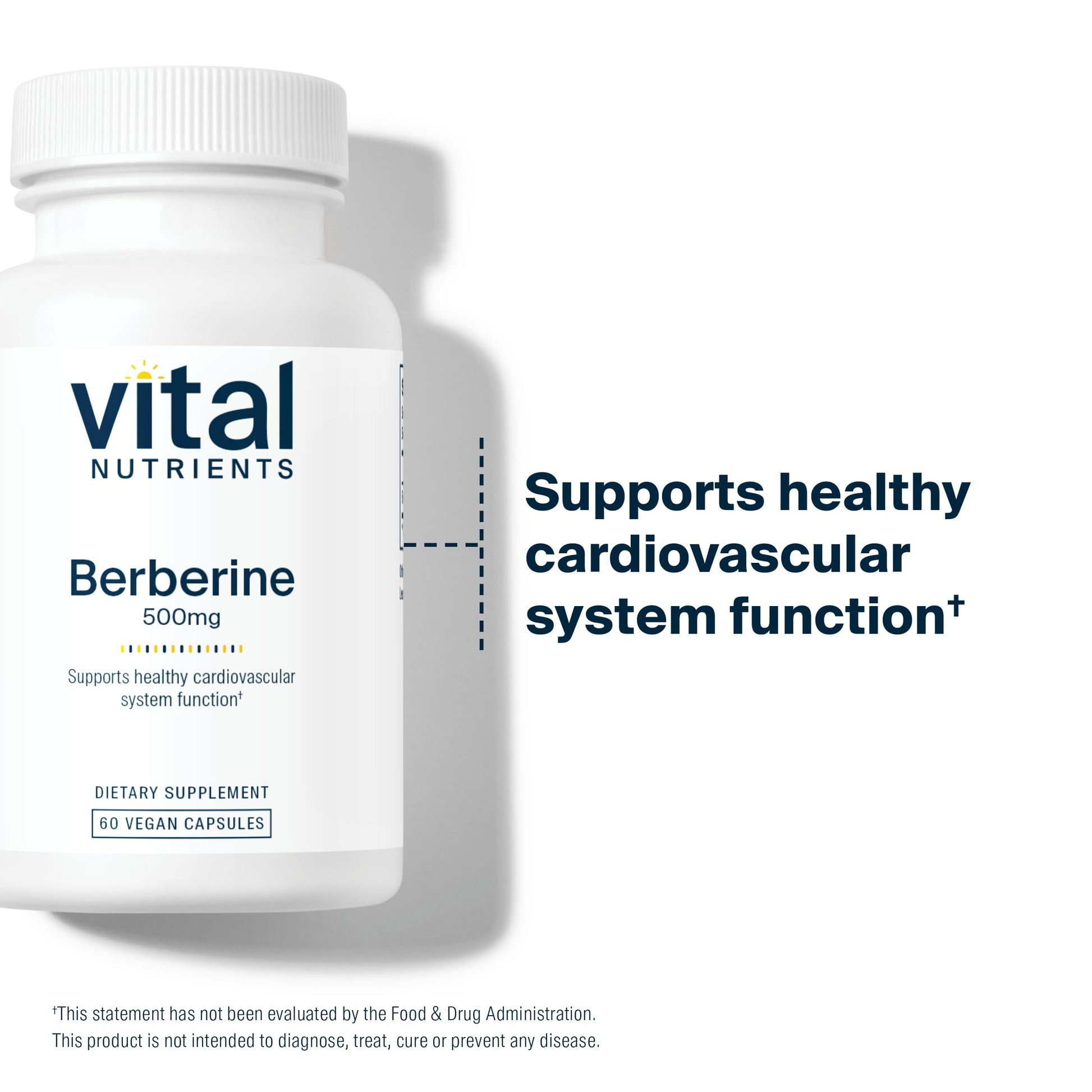 Vital Nutrients Berberine |Supports Bowel Function and Normal Triglyceride Levels |Vegan Supplement| Gluten, Dairy, and Soy Free |500 mg |60 Capsule - Medaid International