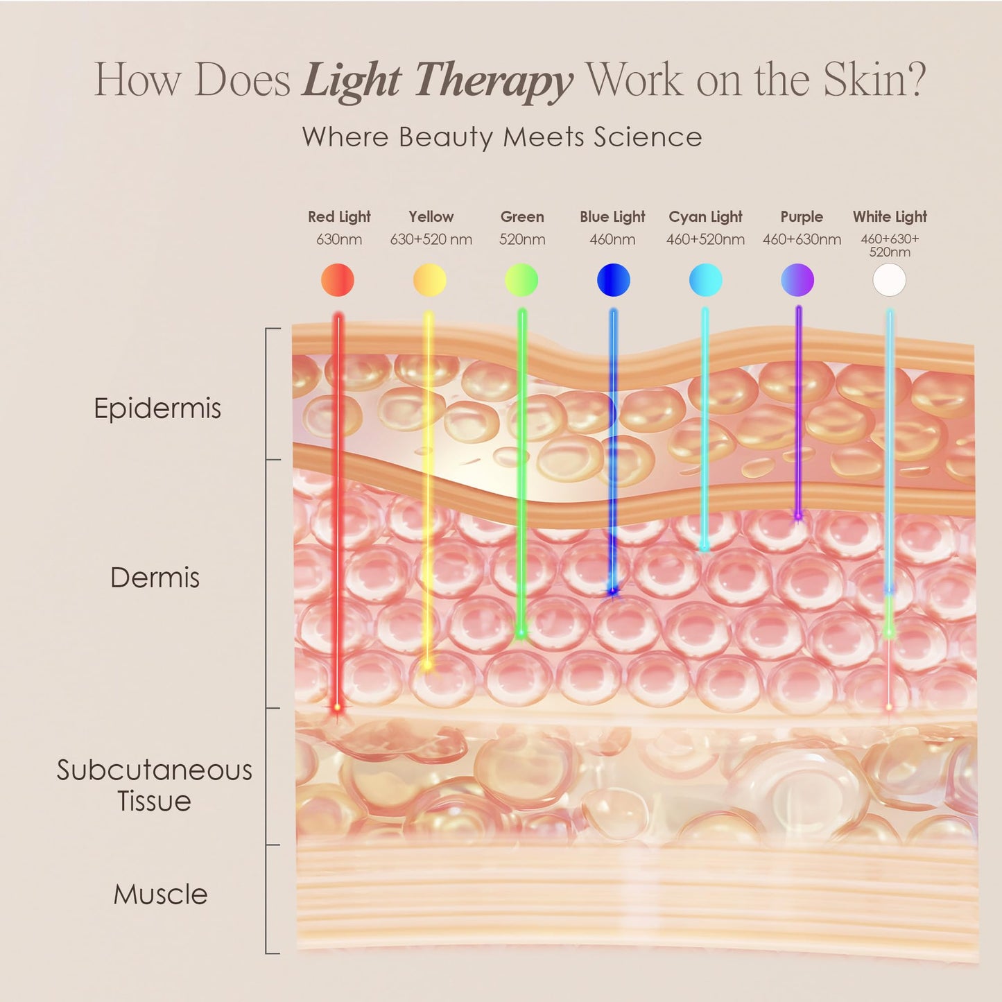 Project E Beauty Skin Rejuvenation Photon Mask | LED Face Mask Light Therapy Red Blue Light Anti-Aging Wrinkle Spa Facial Treatment Home Skincare Mask - Medaid International