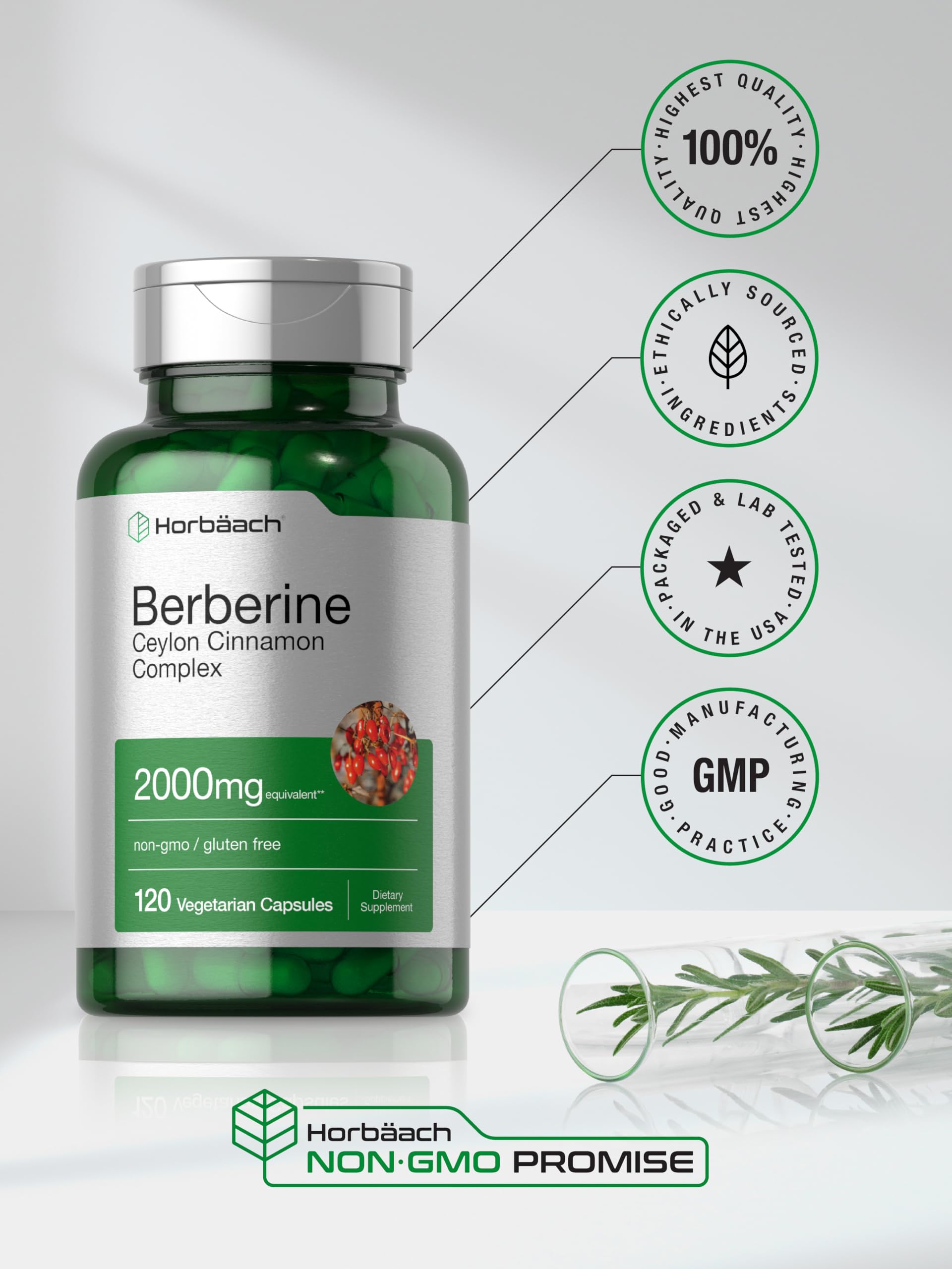Horbäach Berberine with Ceylon Cinnamon | 2000mg | 120 Veggie Capsules | Vegetarian, Non-GMO & Gluten Free Supplement | Berberine Complex - Medaid International