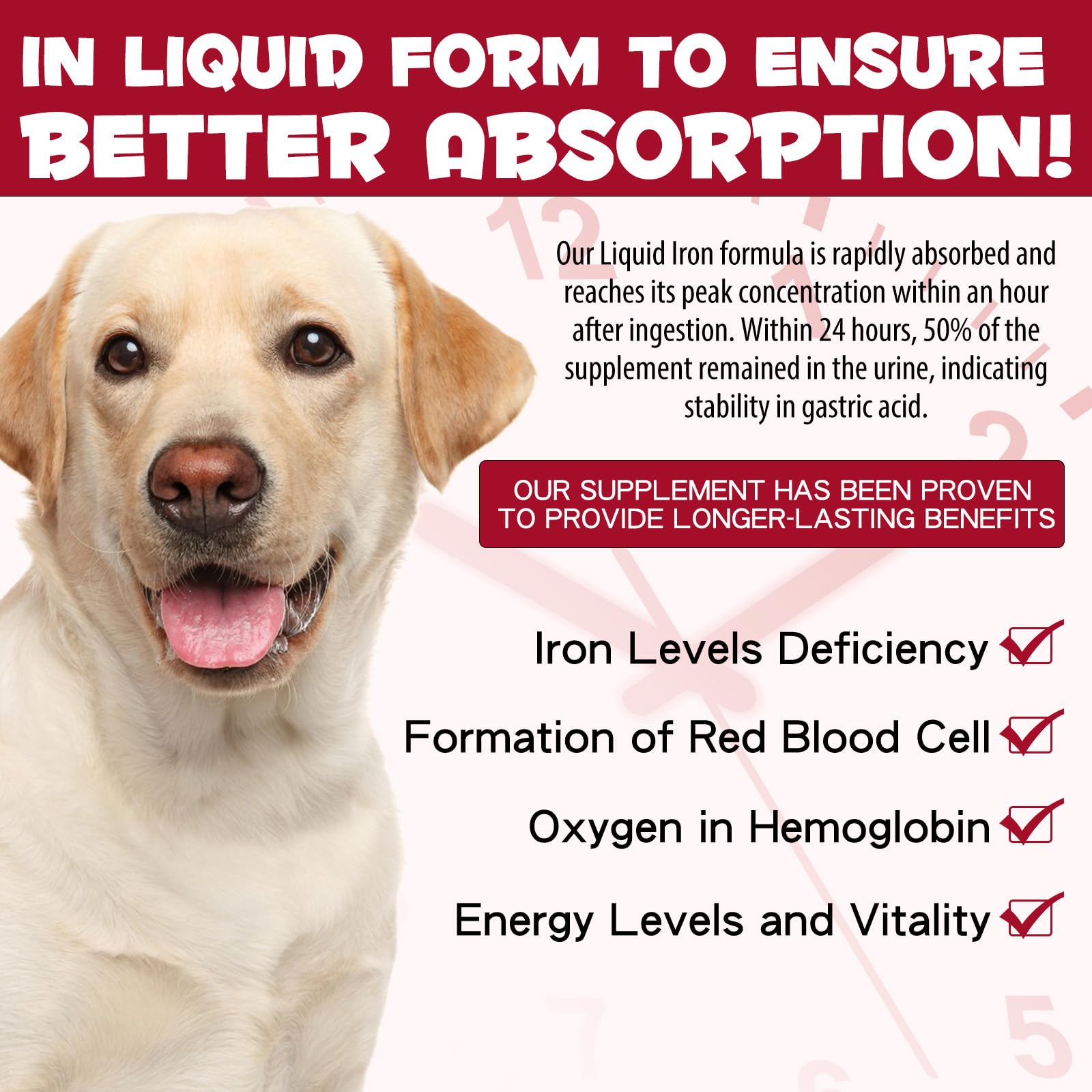 Iron Supplements for Dogs, Liquid Iron for Dogs with Folate and B12 Supports Anemia, Supplement for Anemia, Promotes Blood Health 2 oz - Medaid International