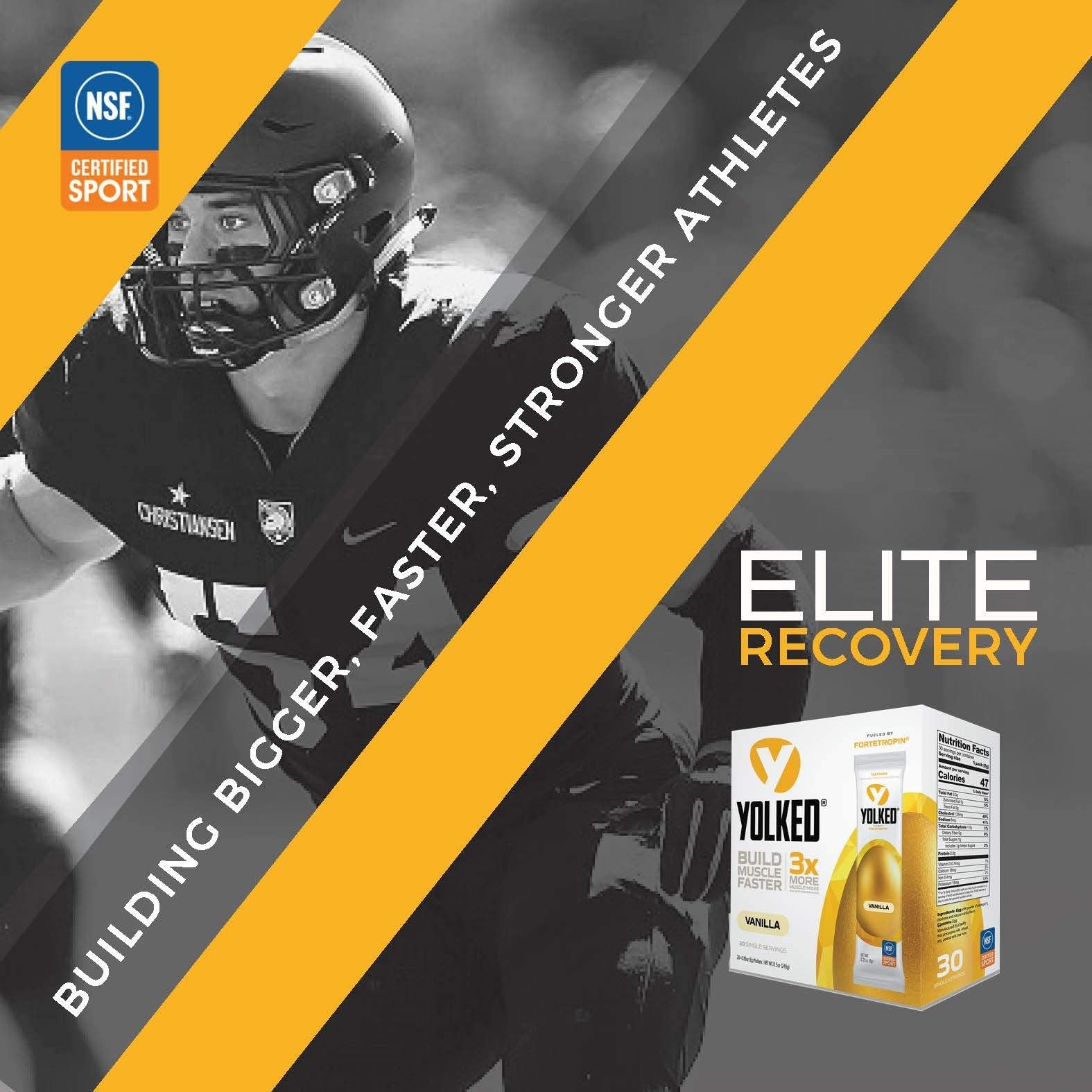 YOLKED - NSF-Certified Muscle Building Supplement - Help Increase Lean Muscle, Reduce Muscle Loss, and Improve Recovery with Fortetropin, 30 Servings - Medaid International