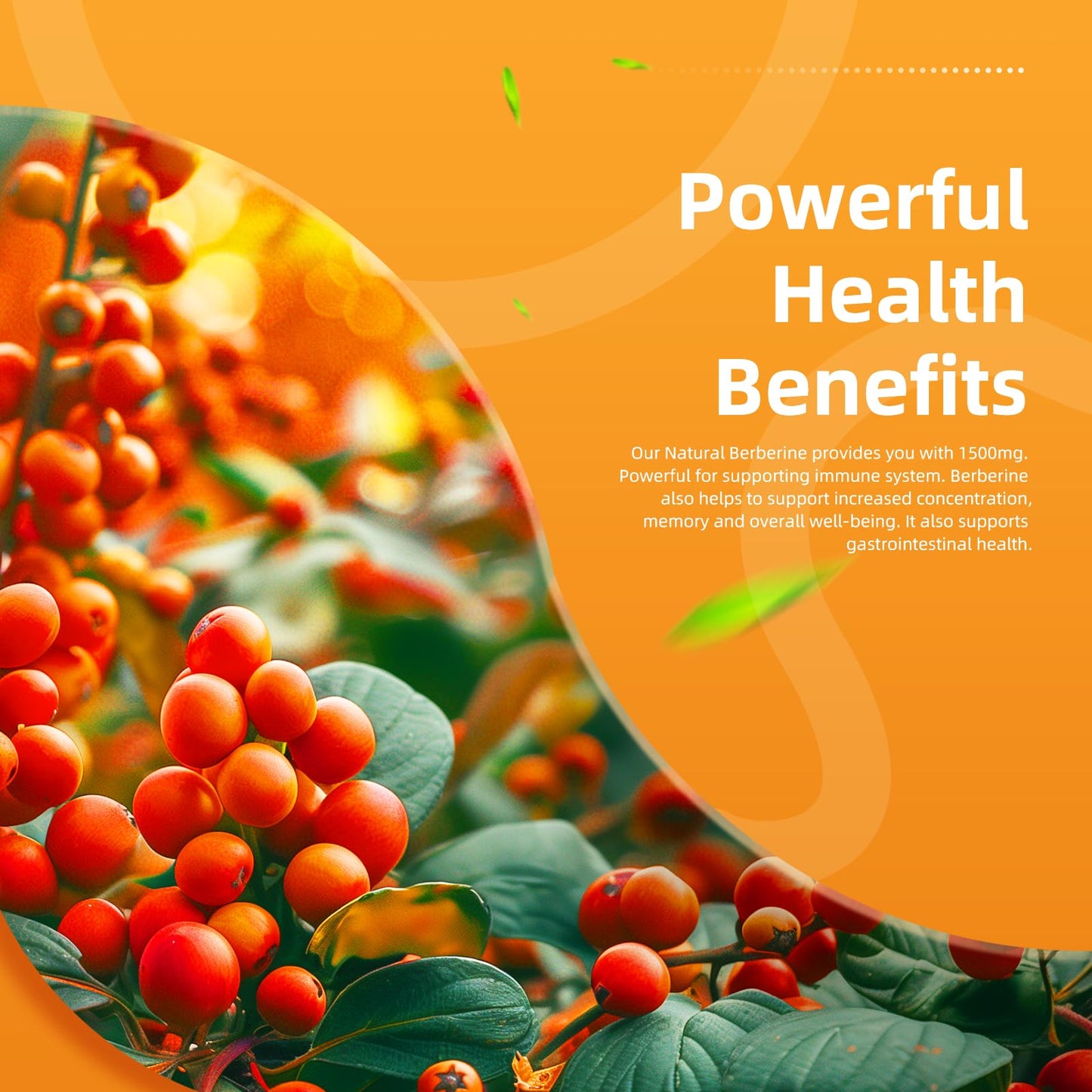 ElevateLife Berberine Supplement - Berberine 1500mg Per Serving,120 Capsules - Berberine HCI - Berberine Plus - Plus Pure True Ceylon Cinnamon, Berberine HCI Root Supplements Pills - Medaid International