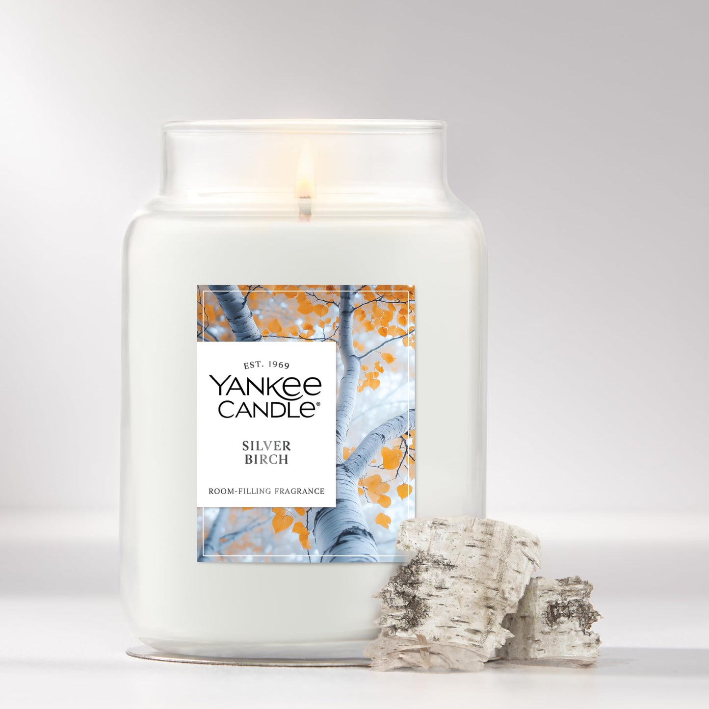 Yankee Candle, Silver Birch Fall Scented Candle, 22oz Large Jar with up to 150 Hour Burn Time - Medaid International
