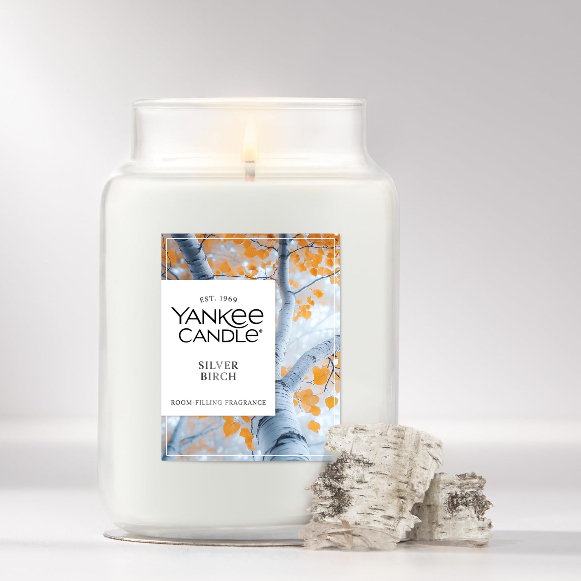 Yankee Candle, Silver Birch Fall Scented Candle, 22oz Large Jar with up to 150 Hour Burn Time - Medaid International
