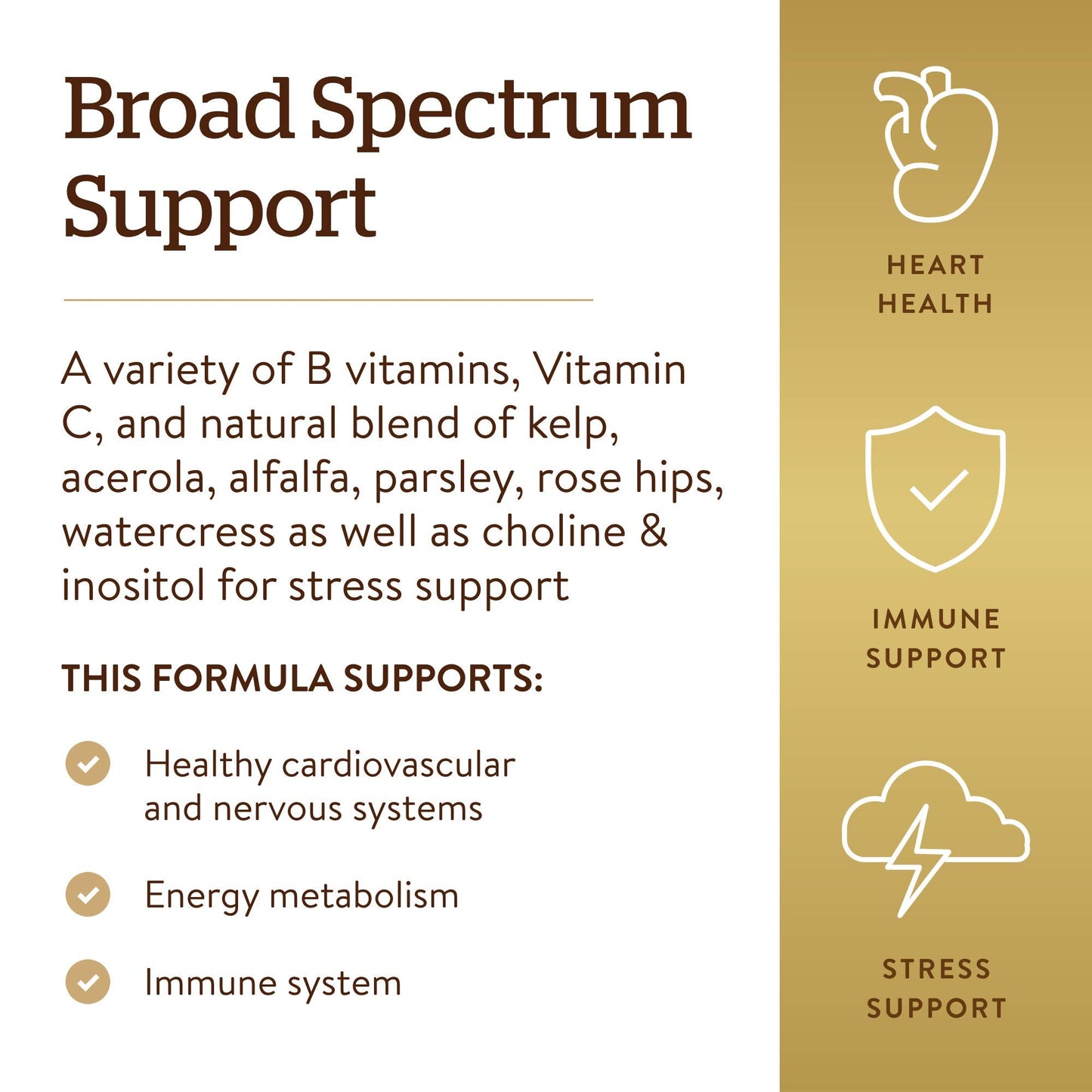Solgar B-Complex with Vitamin C Stress Formula, 250 Tablets - Energy Metabolism, Nervous System & Immune Support - Non-GMO, Vegan, Gluten Free, Dairy Free, Kosher - 125 Servings - Medaid International