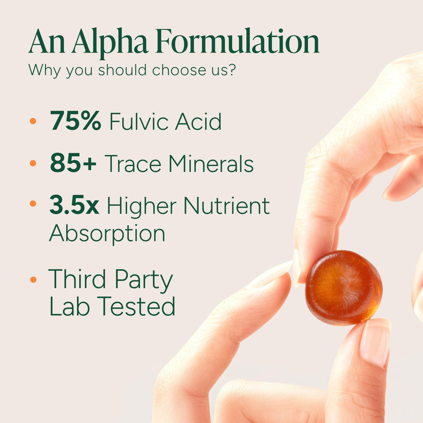 ROOT LABS 10-in-1 Alpha Shilajit Gummies | 4000 mg Pure Himalayan Shilajit, Tongkat Ali, Maca Root, 75% Fulvic Acid | ShilAbsorb Bioavailability Tech | Sugar-Free Vegan, 85+ Trace Minerals | 120 Pack - Medaid International