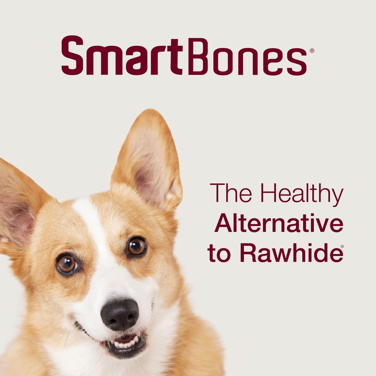 SmartBones Furry Christmas Advent Calendar Chews for Small Dogs, 24 Count, Treat Your Dog to Easy-to-Digest, Rawhide-Free Mini Bones, Candy Canes and Mini Sticks - Medaid International