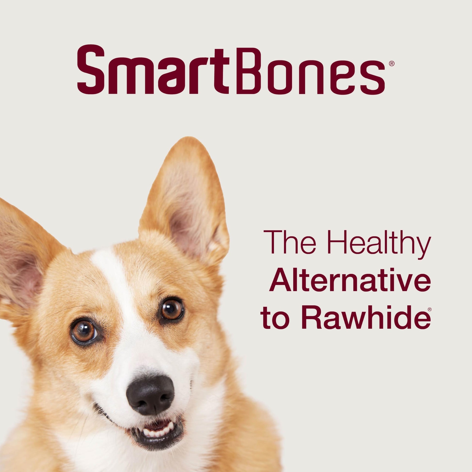 SmartBones Furry Christmas Advent Calendar Chews for Small Dogs, 24 Count, Treat Your Dog to Easy-to-Digest, Rawhide-Free Mini Bones, Candy Canes and Mini Sticks - Medaid International