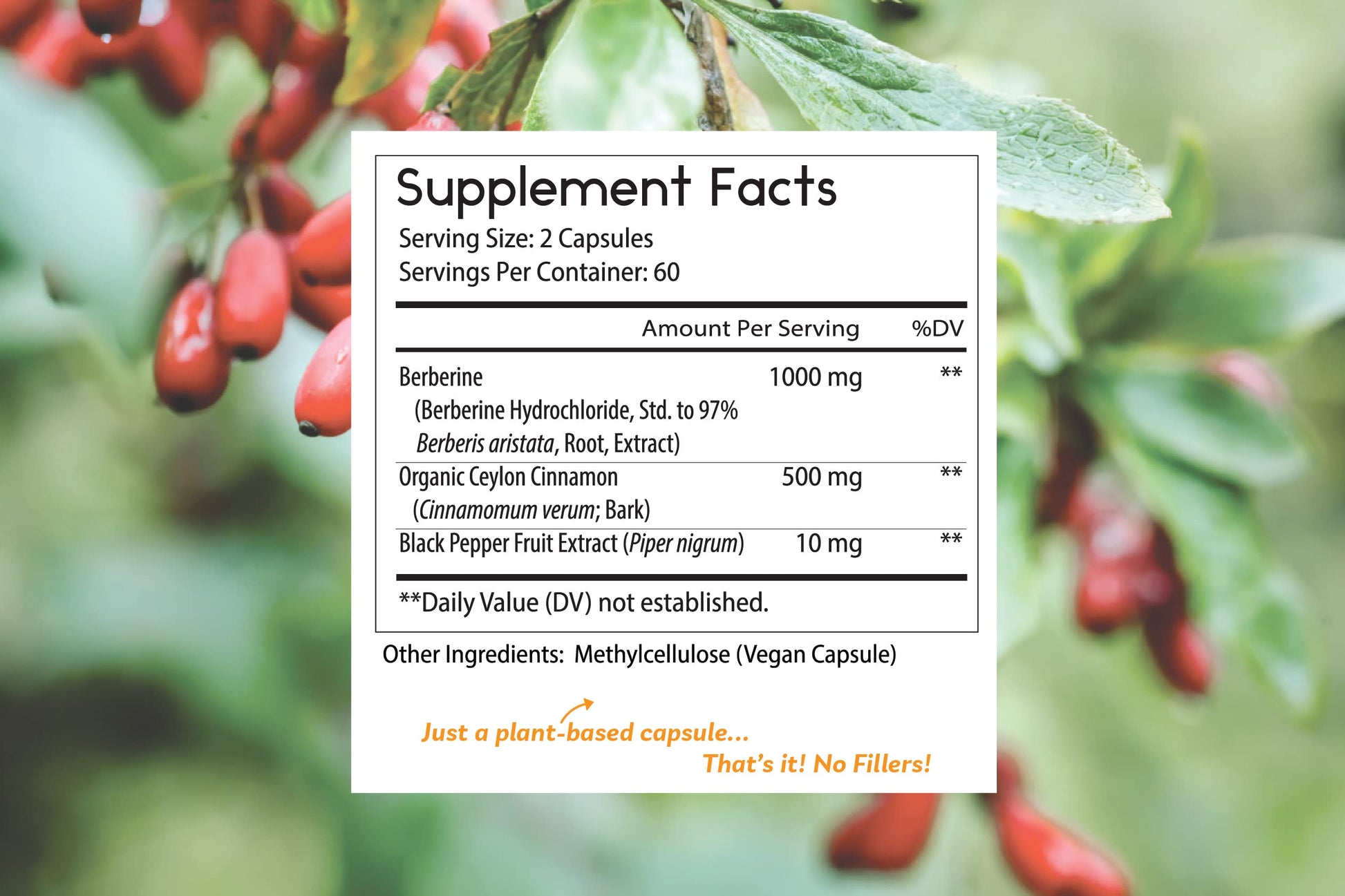 Thomas' all-natural Remedies Berberine 500mg (1000mg Per Serving)- 120 Vegan Capsules- with Ceylon Cinnamon & Black Pepper- Supports Healthy Immune Function & Overall Wellness - Medaid International