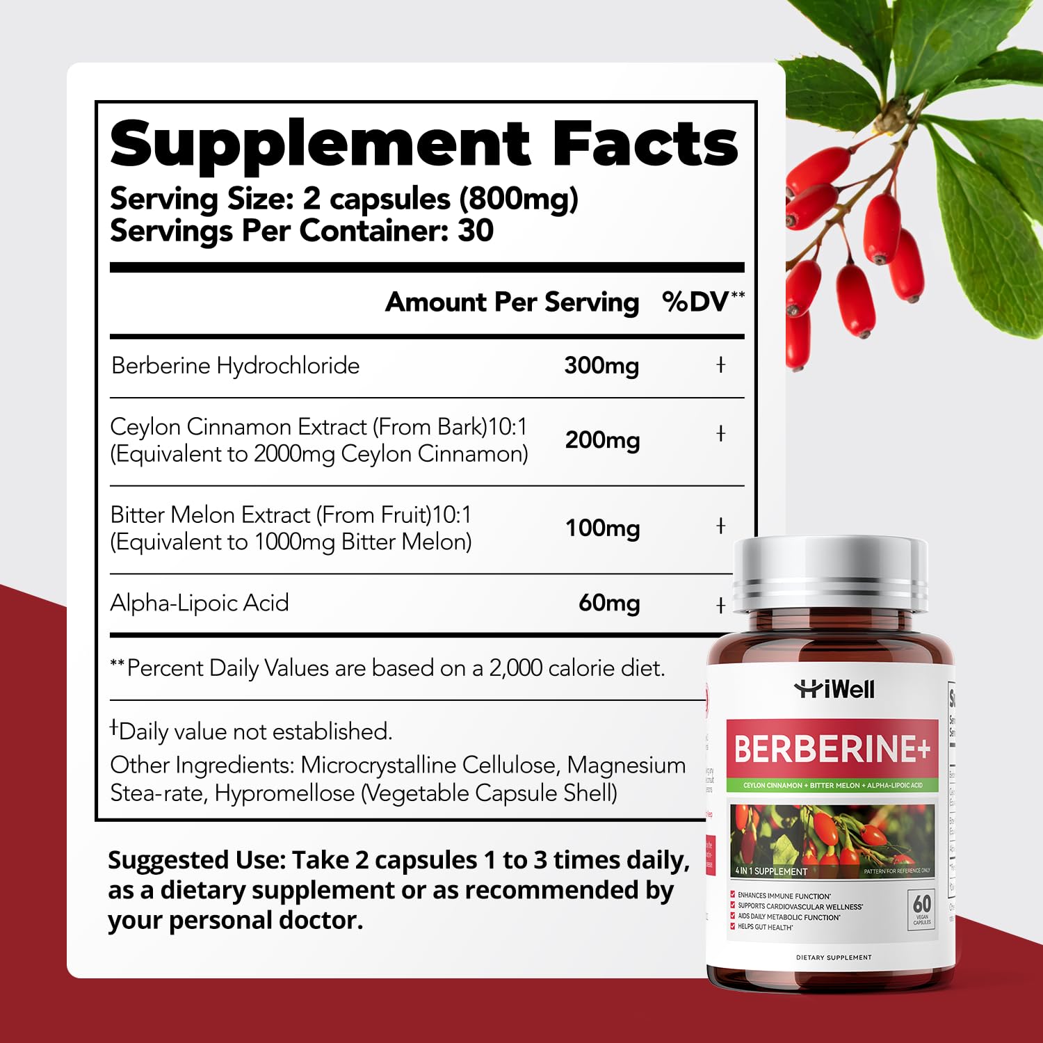 HiWell Berberine with Ceylon Cinnamon | Support Blood Sugar, Cholesterol Health & Immune* | Gluten-Free, Non-GMO & Vegan Berberine Supplement | 60 Capsules - Medaid International