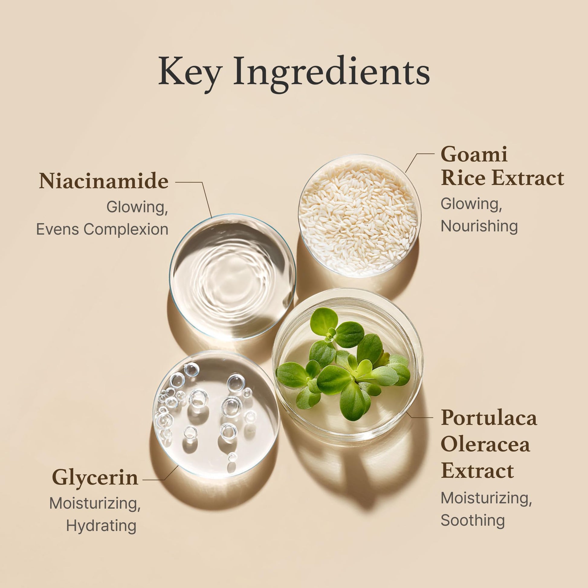 I'm from Rice Toner, Milky Toner for Glowing Skin, Korean Rice, Glow Essence with Niacinamide, Hydrating for Dry, Dull, Combination Skin, Vegan, Fragrance Free, Glass Skin 5.07 Fl Oz - Medaid International