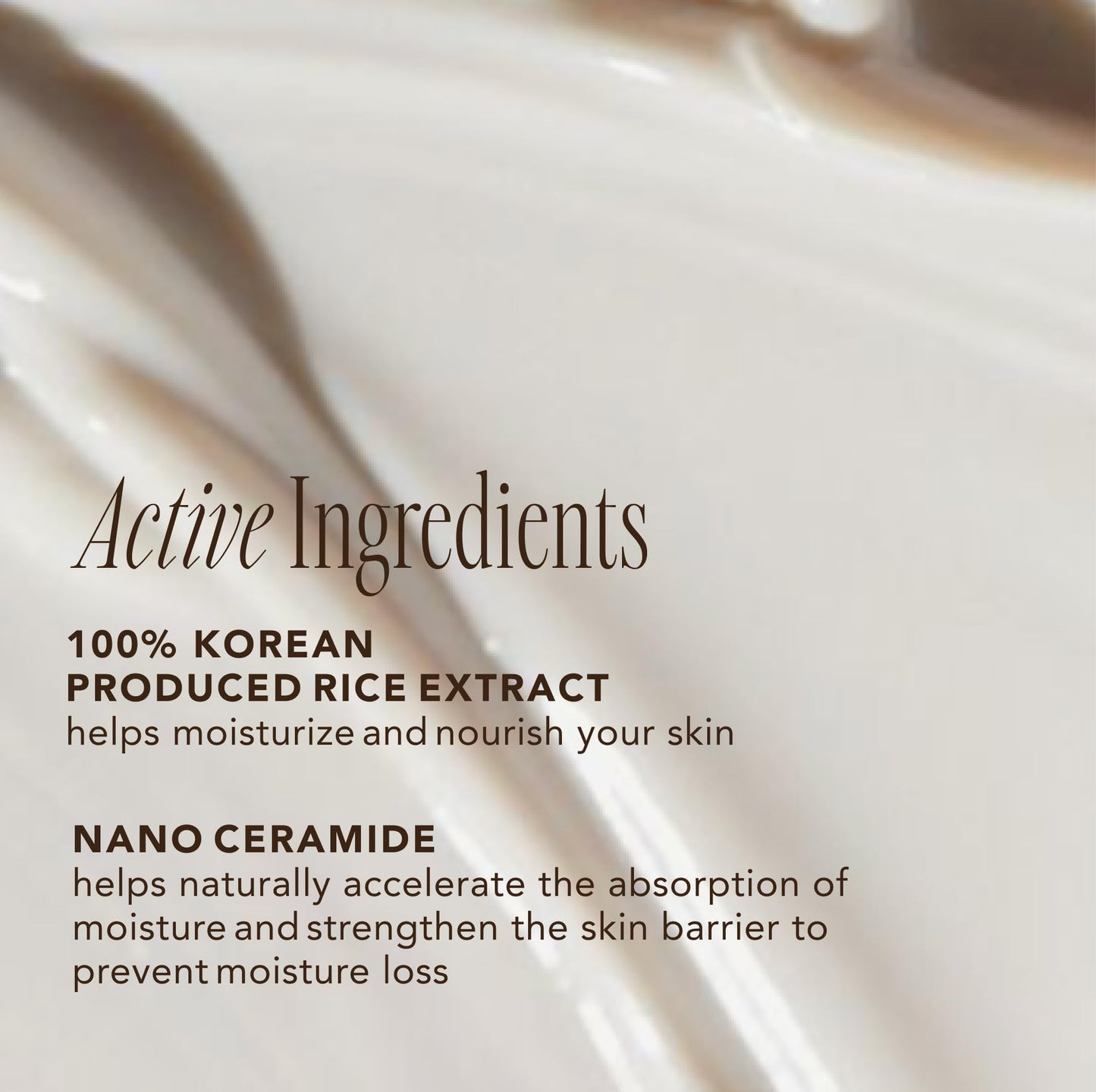 The Face Shop Rice Ceramide Sun Barrier Set - Rice Extract Korean Moisturizer & Daily Hydrating Facial Sunscreen - Medaid International