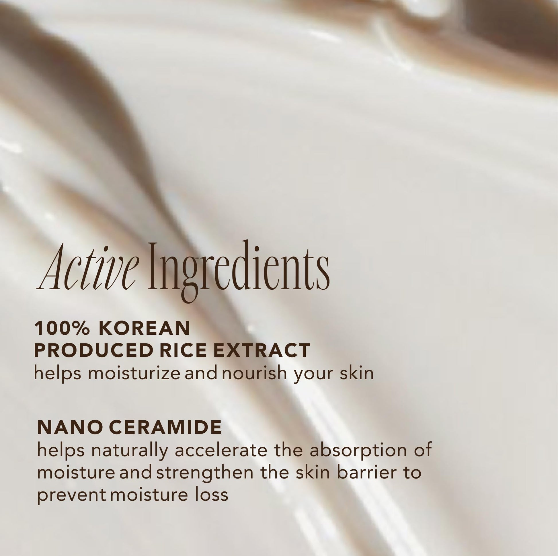 The Face Shop Rice Ceramide Sun Barrier Set - Rice Extract Korean Moisturizer & Daily Hydrating Facial Sunscreen - Medaid International