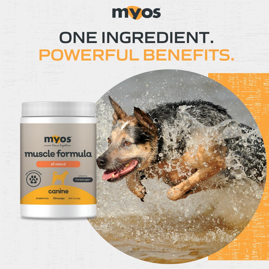 MYOS Canine Muscle Formula - All-Natural Muscle Building Supplement - Helps Reduce Muscle Loss in Dogs Due to Normal Aging and Improves Recovery from Injury or Surgery - Medaid International