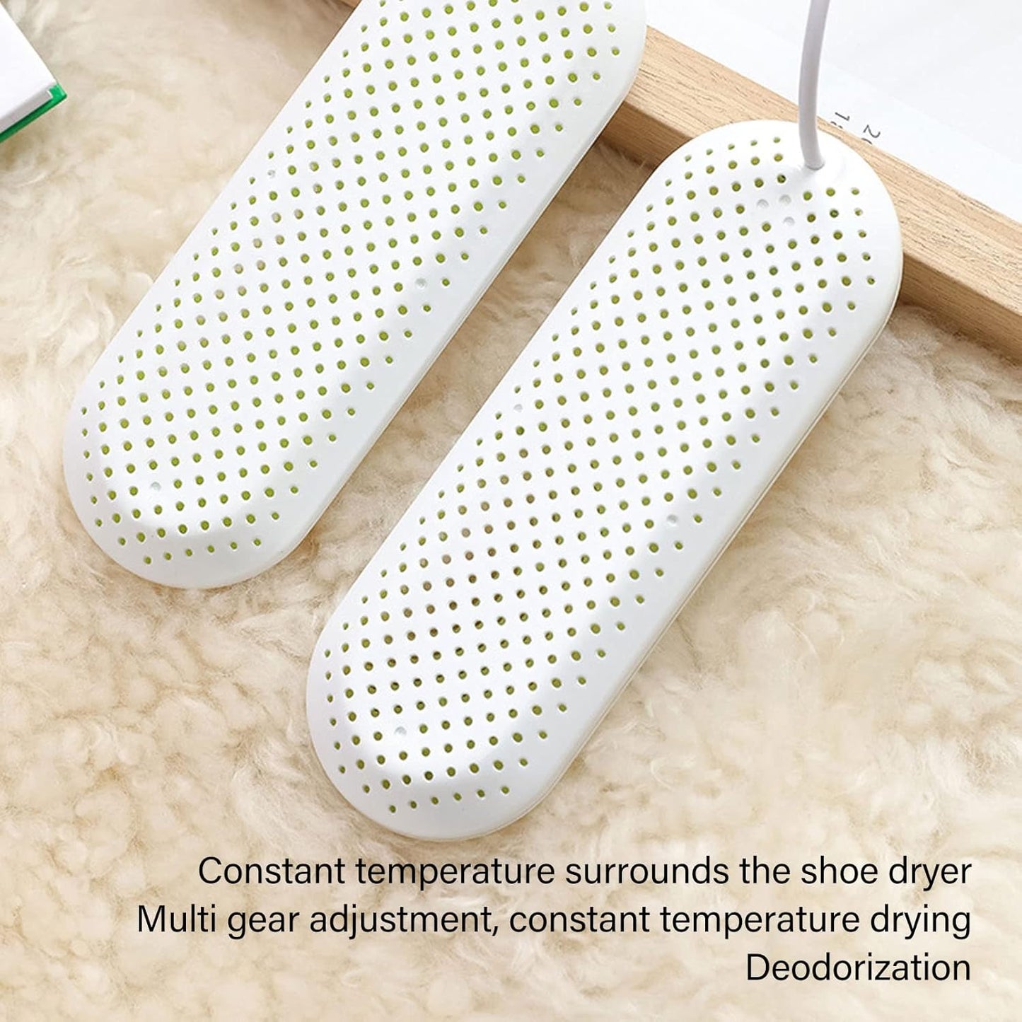 Portable Shoe Dryer