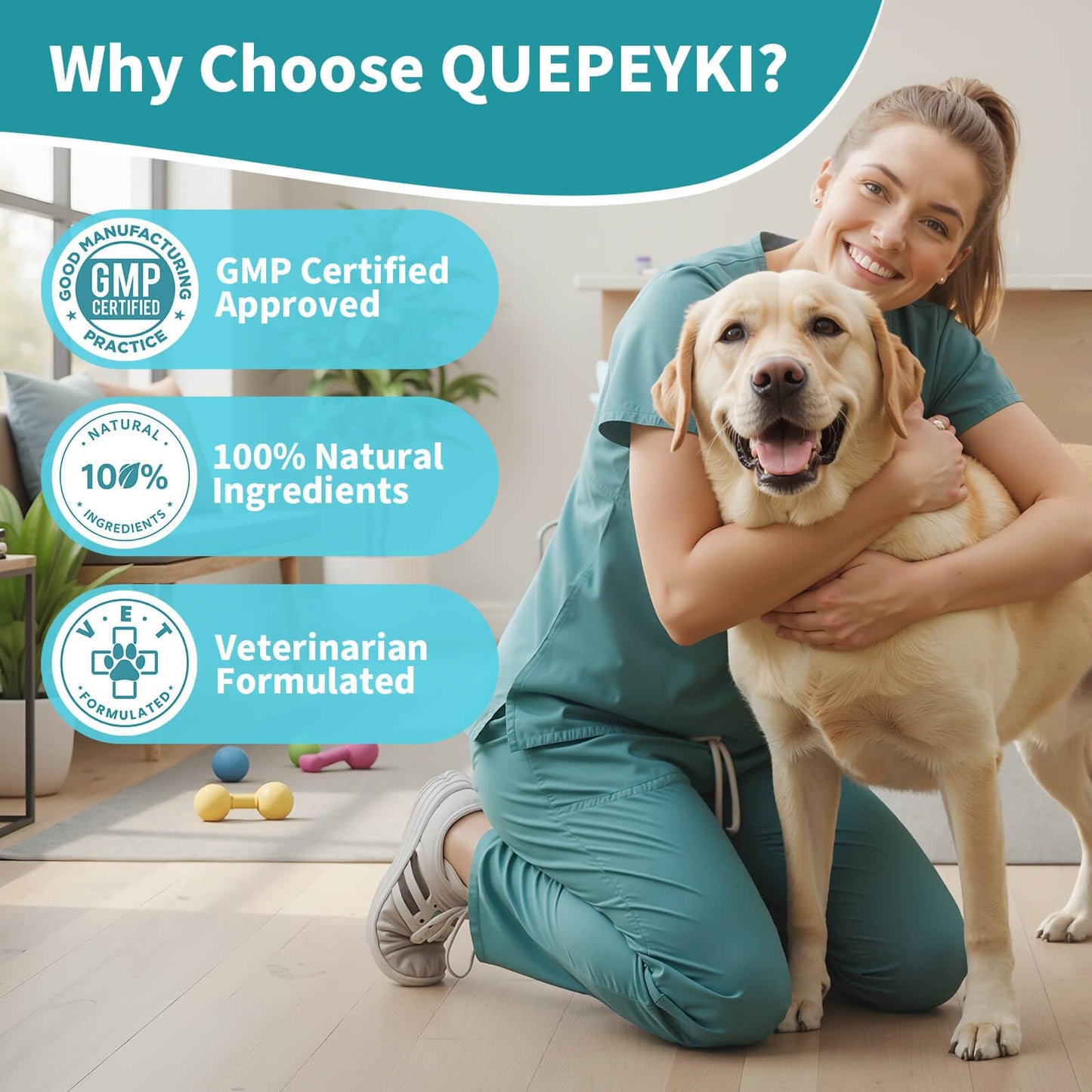 QUEPEYKI Glucosamine Chondroitin MSM for Dogs – Hip and Joint Soft Chews with Green Lipped Mussel, Eggshell Membrane & Hyaluronic Acid – Senior Dog Mobility Support – Real Chicken Flavor, 90 Count