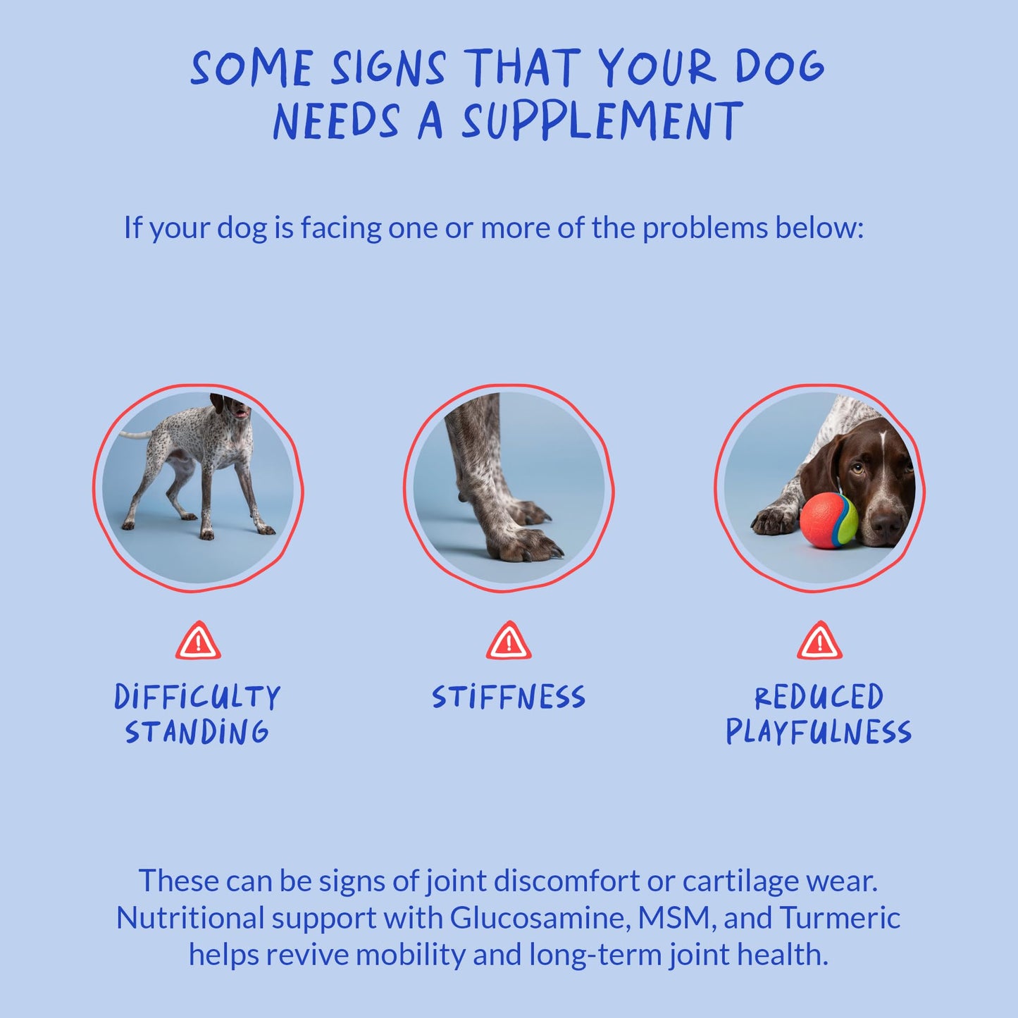 Hip and Joint Supplement for Dogs - with Collagen, Glucosamine for Dogs - Fish Oil - Green Lipped Mussel - Hip & Joint Support, Ease Inflammation, Antioxidant.
