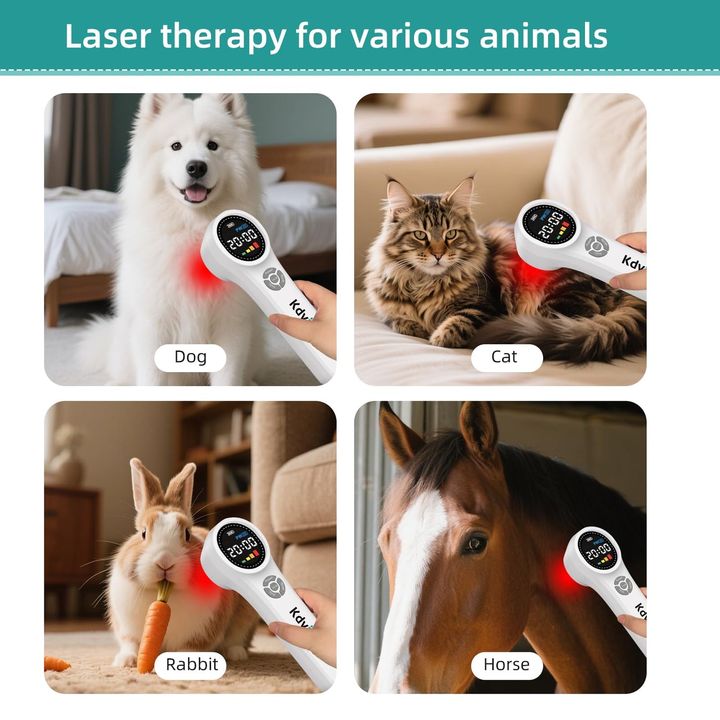 Kdvioo Cold Laser Therapy Device for Dogs, 16pcs 660nm & 4pcs 810nm & 4pcs 980nm Infrared Red Light Therapy Machine for Pain Relief, Arthritis, Spinal, Promote Blood Circulation, for Pets - Medaid International