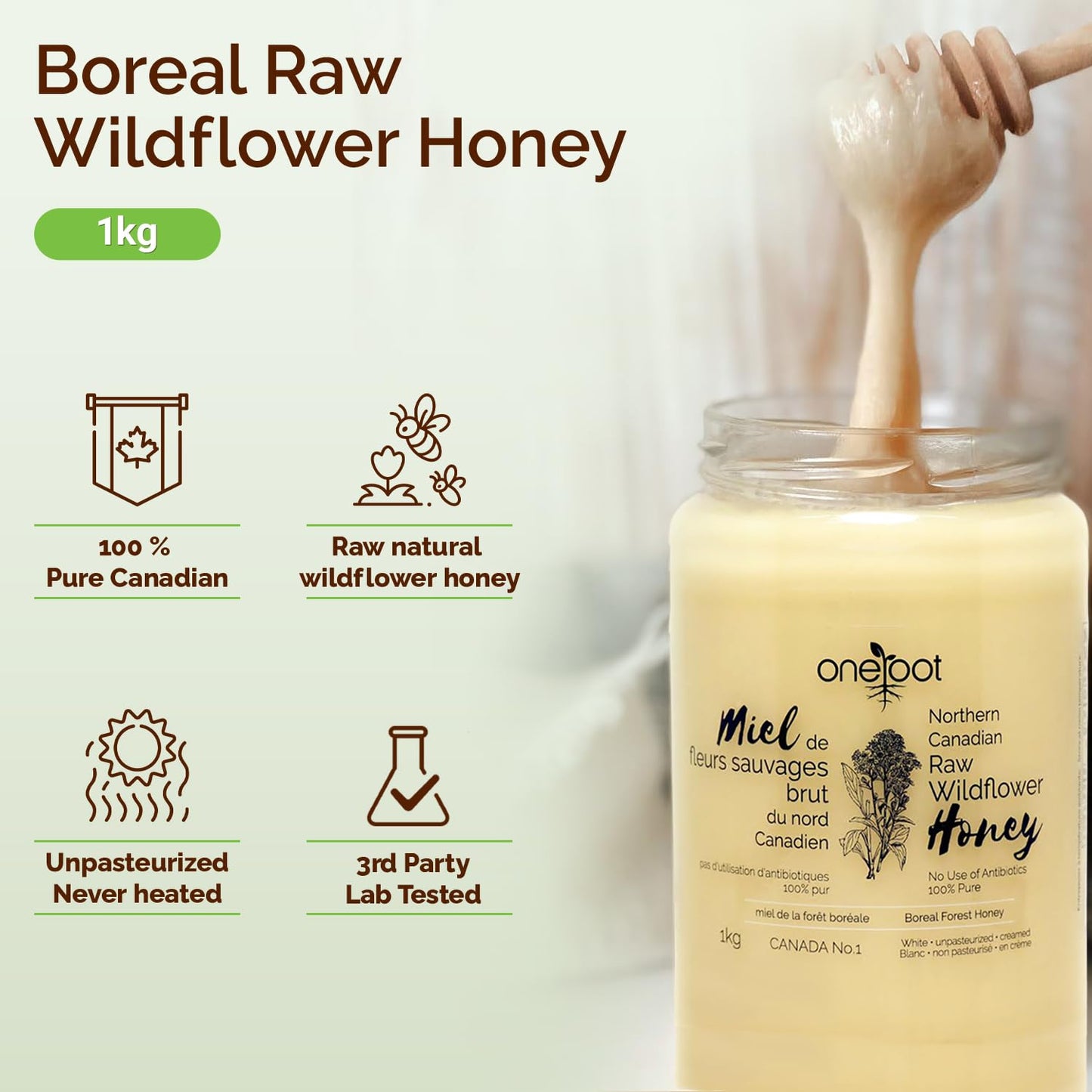 Oneroot 100% Canadian Wildflower Honey - 1kg / 2.2lbs, Unheated & Creamed - Nutrient-Rich, Natural Sweetener with Enzymes - Thick & Pure Raw Unfiltered Honey - Medaid International