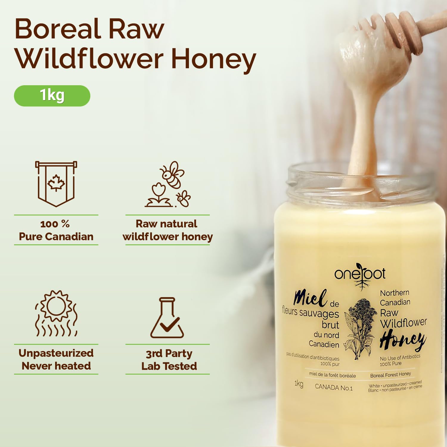Oneroot 100% Canadian Wildflower Honey - 1kg / 2.2lbs, Unheated & Creamed - Nutrient-Rich, Natural Sweetener with Enzymes - Thick & Pure Raw Unfiltered Honey - Medaid International