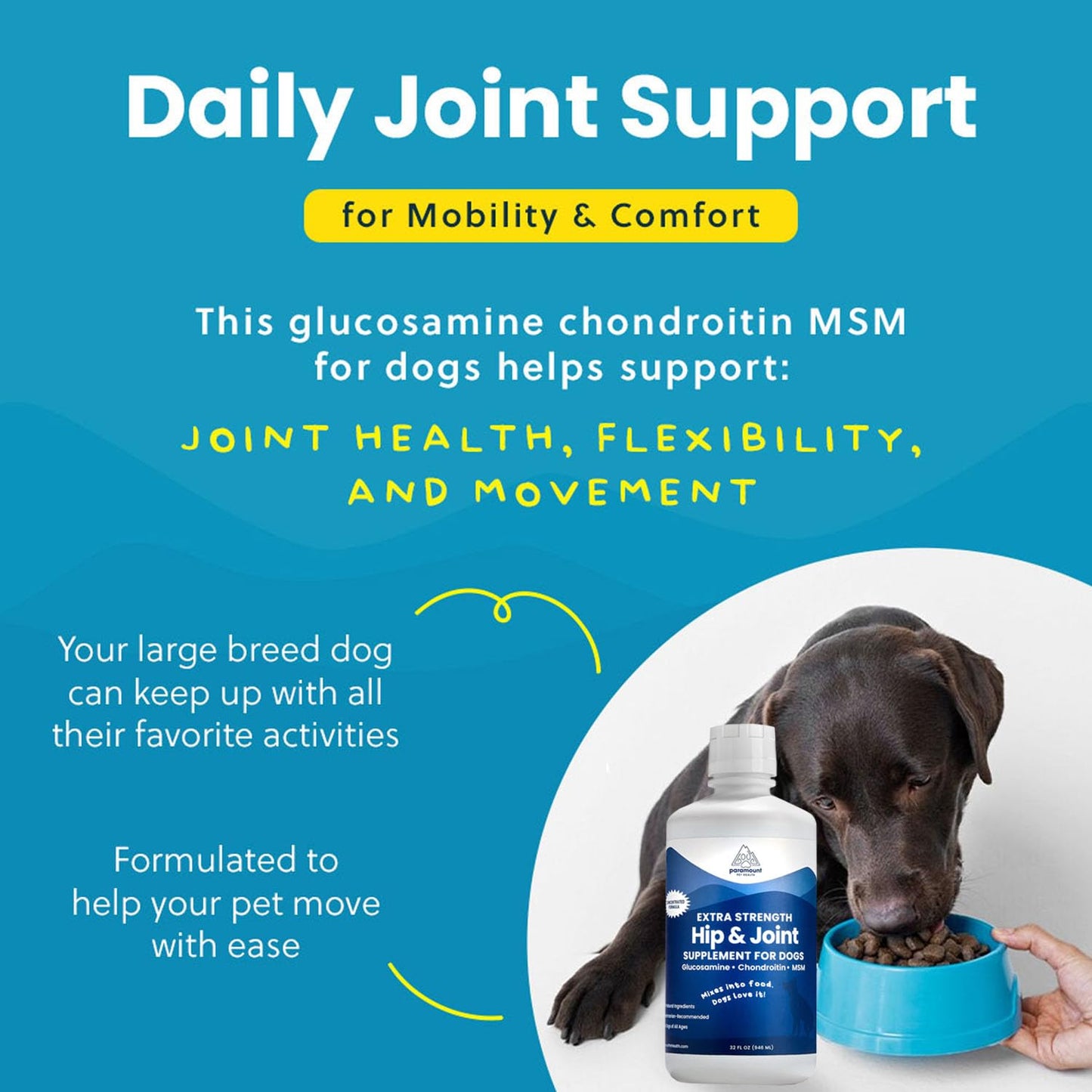 Paramount Pet Health Liquid Glucosamine for Dogs, Hip & Joint Supplement with Chondroitin & MSM, 32 oz Mobility Support for Large Dogs, Human-Grade Joint Care Made in GMP & FDA Registered Facility