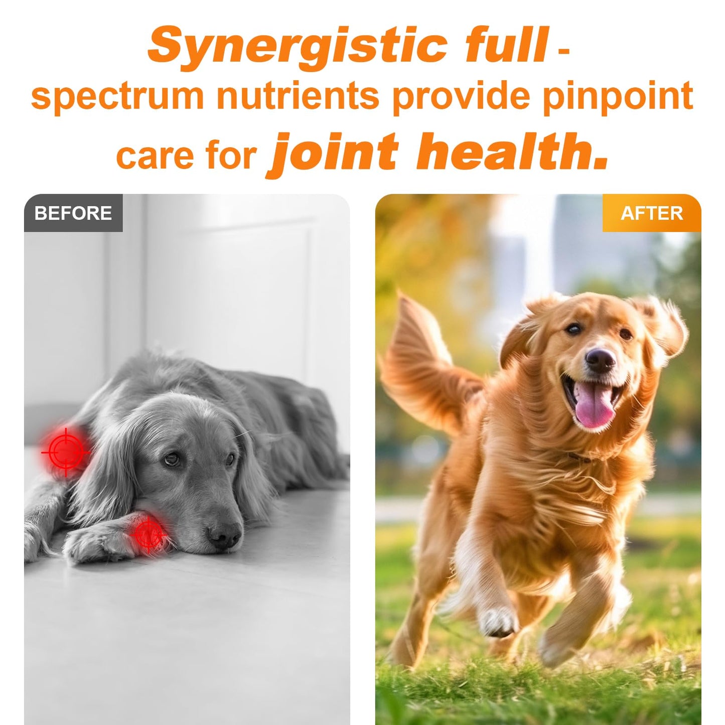 180 Chews Glucosamine Chondroitin Joint Chews for Dogs, Chicken Flavor 13 in 1 with Glucosamine, Chondroitin, MSM, Omega-3 Support Hip & Joint Support - Joint Pain Relief Flavored Fit All Breed