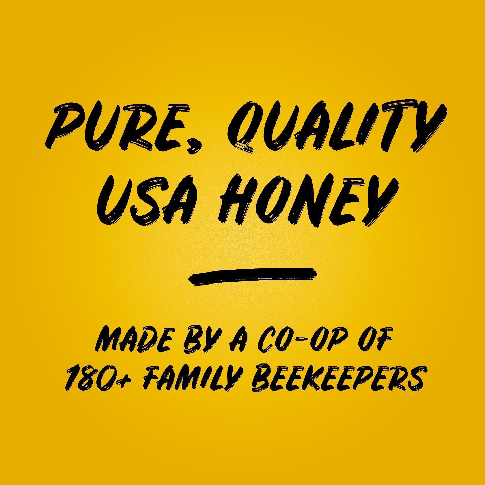 Sue Bee Pure Premium Honey From USA Beekeepers, 16 Ounce - Medaid International