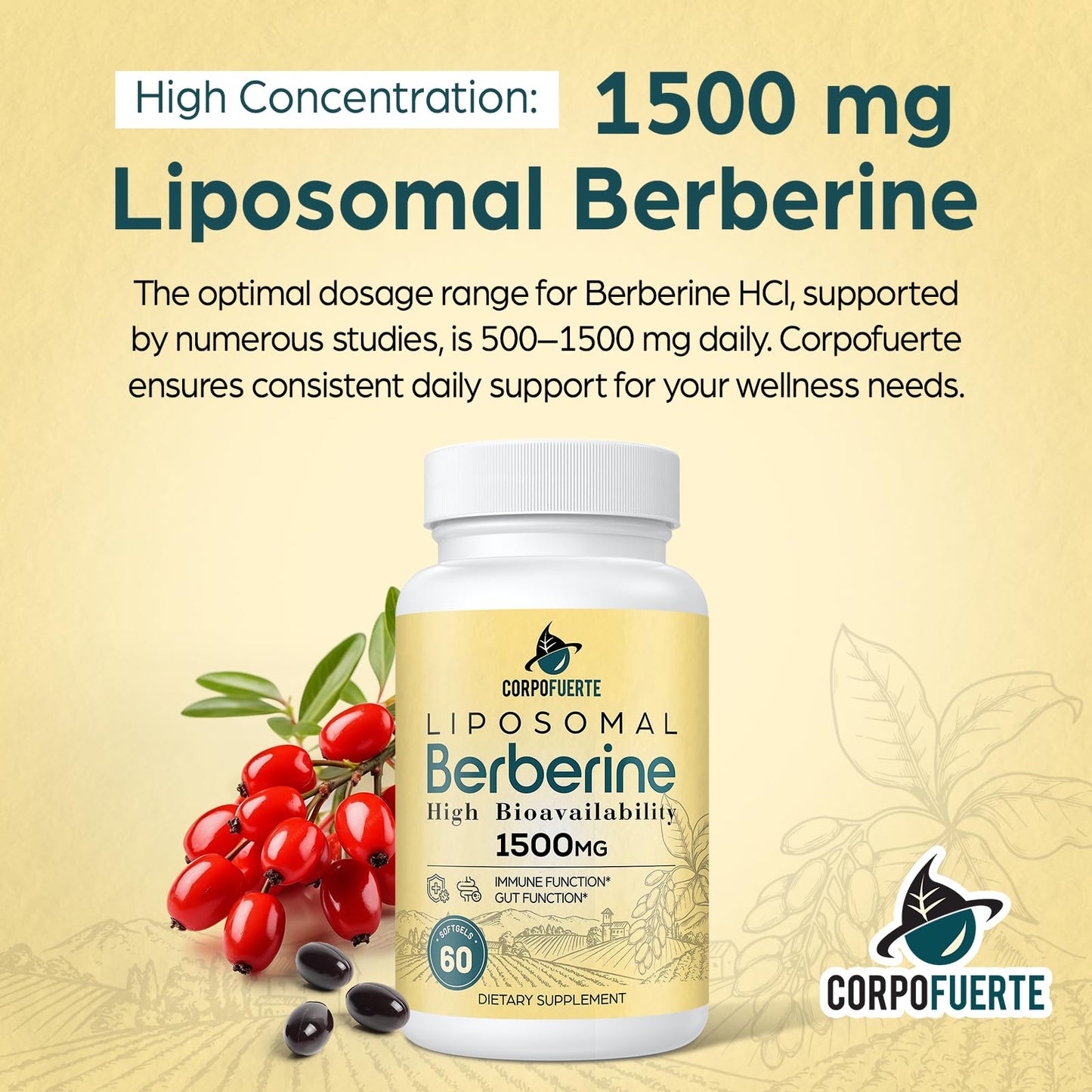 Corpofuerte Liposomal Berberine HCl 1500 mg - Berberine Supplement Activates AMPK - Supports Body Balance in Women and Men - Third-Party Tested for Purity - Medaid International