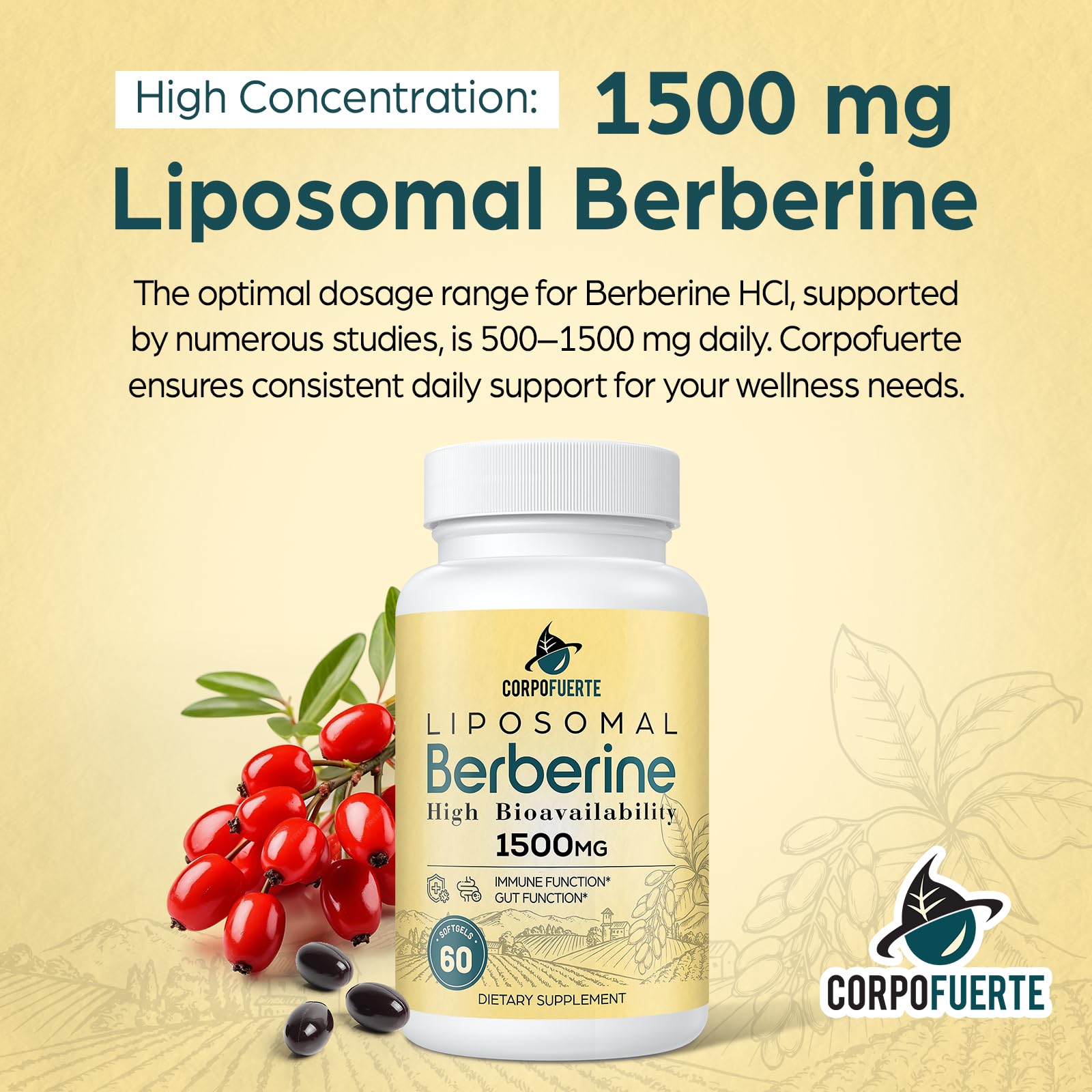 Corpofuerte Liposomal Berberine HCl 1500 mg - Berberine Supplement Activates AMPK - Supports Body Balance in Women and Men - Third-Party Tested for Purity - Medaid International