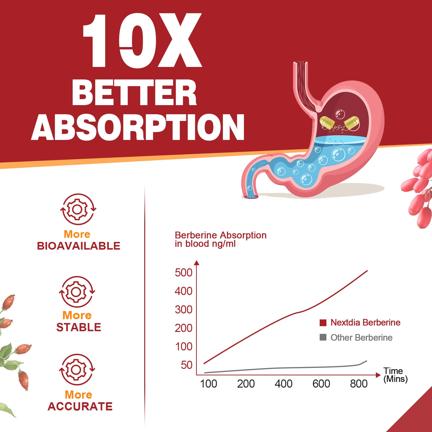 Berberine Supplement Organic 1500mg with Ceylon Cinnamon Bitter Melon, Liposomal Berberine HCL Complex Supplements, Immune & Digestive Support - Non-GMO, Organic, Vegan Berberine Capsules 120Cts - Medaid International