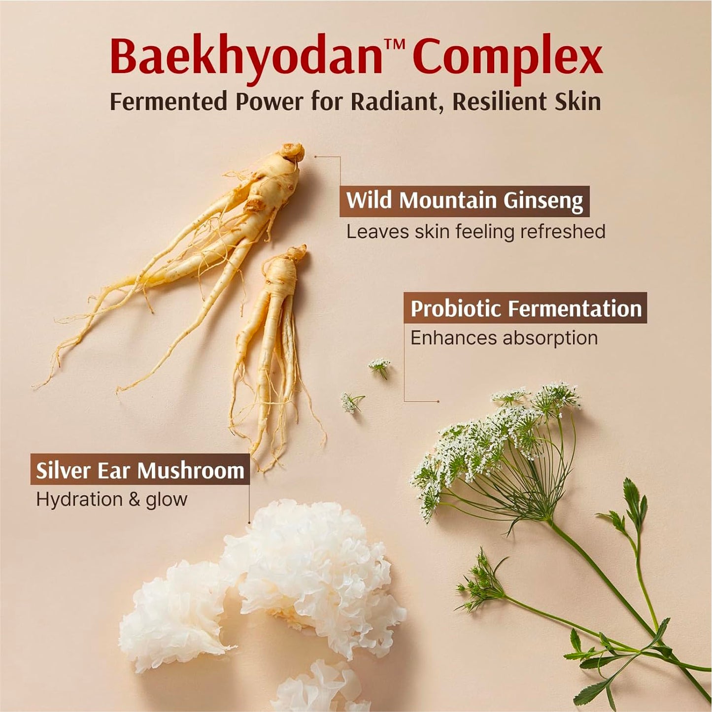 Sooryehan Hyobidam Fermented Bundle Gift Set (14fl oz) - Hyobidam Korean Skin Care Gift Set with Toner, Emulsion, Essence, Cream, Eye Cream, Mask & Foam,. Wild Ginseng Anti-Aging Hydration & Firming. - Medaid International