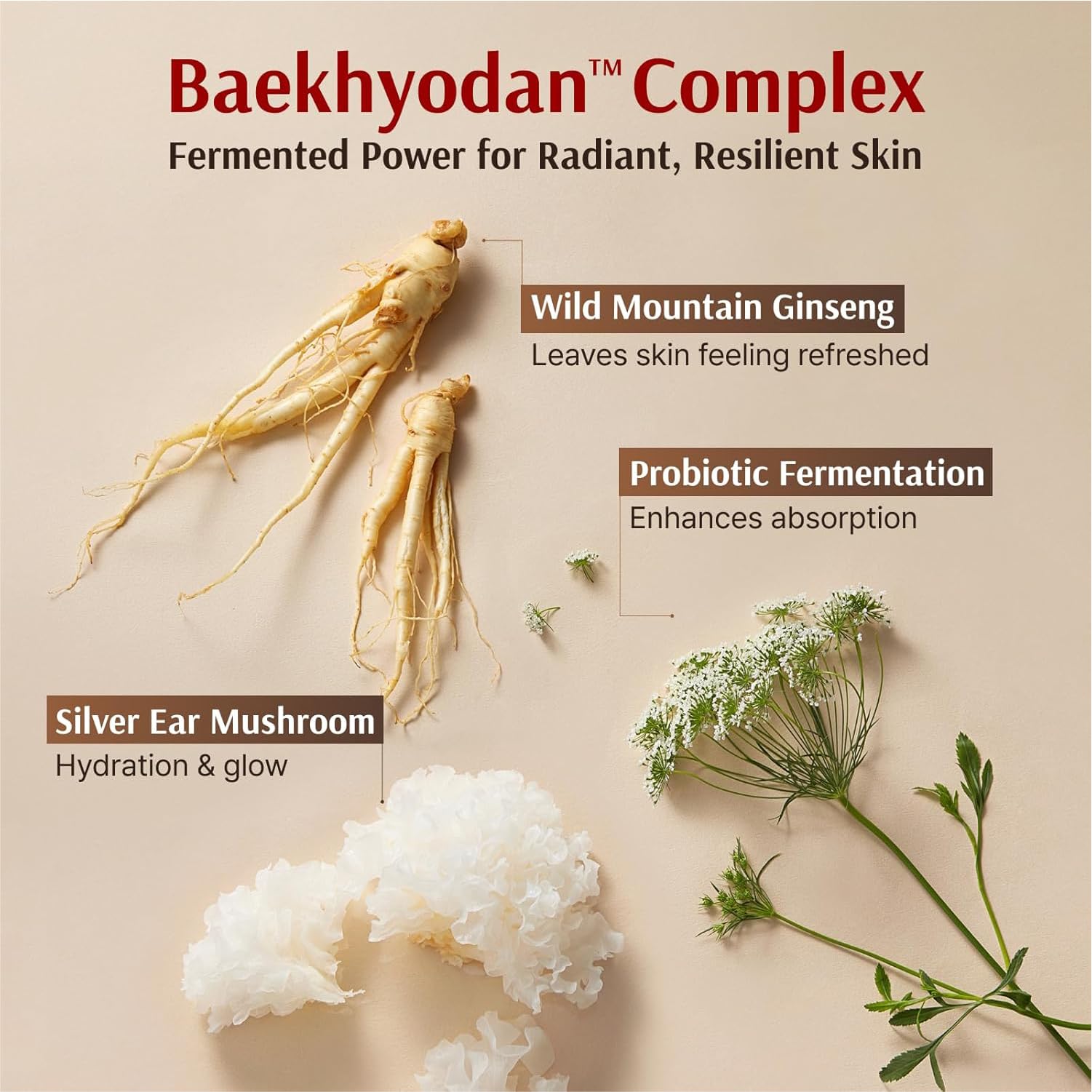 Sooryehan Hyobidam Fermented Bundle Gift Set (14fl oz) - Hyobidam Korean Skin Care Gift Set with Toner, Emulsion, Essence, Cream, Eye Cream, Mask & Foam,. Wild Ginseng Anti-Aging Hydration & Firming. - Medaid International
