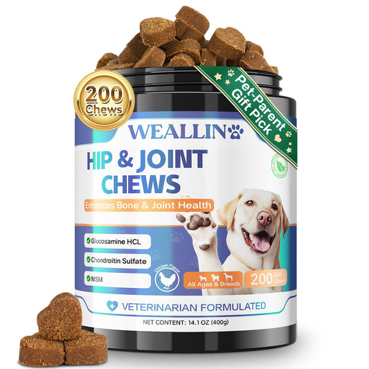 Joint Supplement for Dogs - Dog Joint Supplement Glucosamine Hip and Joint Chondroitin Chews Treats for Dogs with MSM Lipid Mussels Vitamins Dog Joint Support for All Breed 200pcs