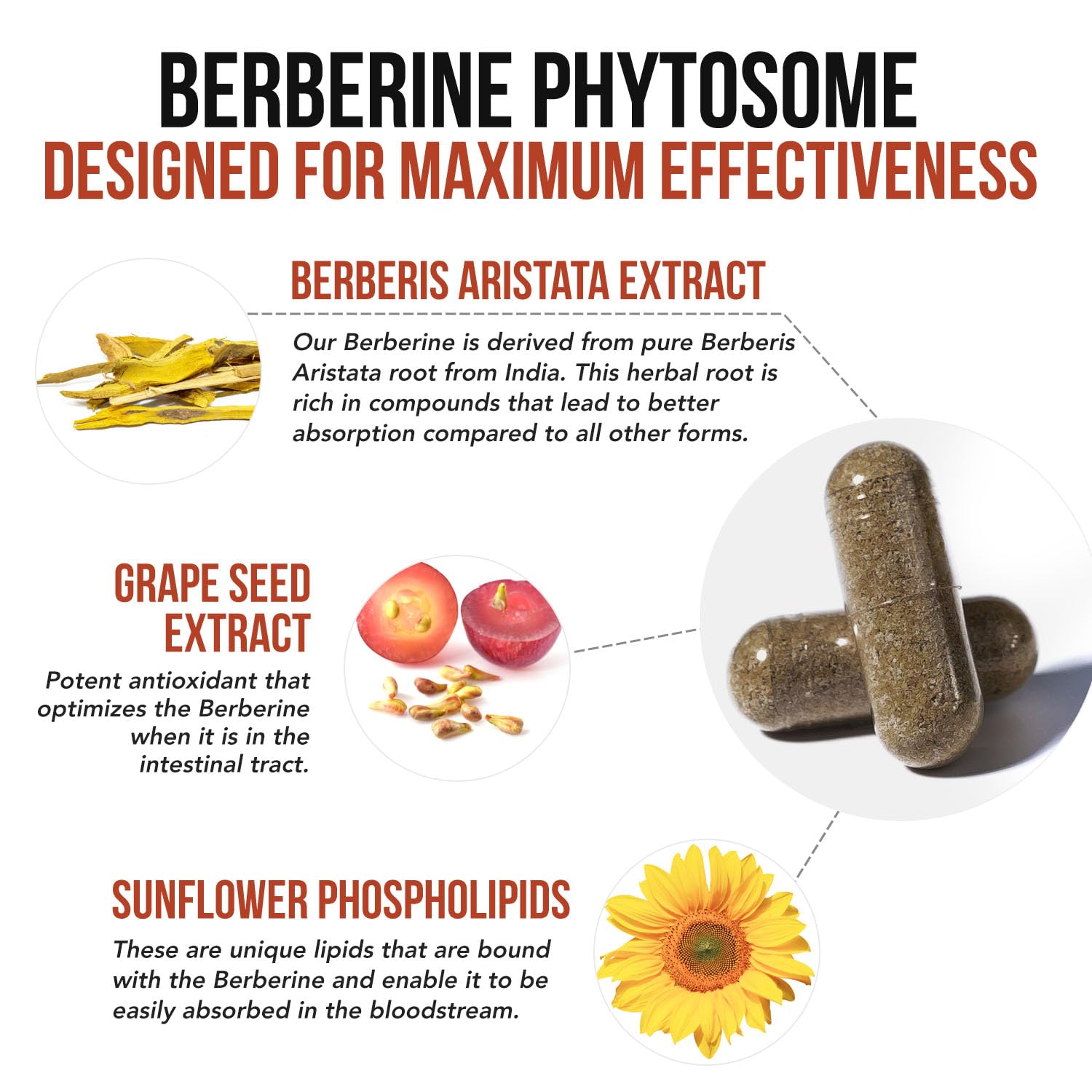 SoActive Berberine 550mg: 9.6X Higher Absorption, Clinically Studied, Optimized Phytosome | Supports Metabolism & AMPK Activation | Non-GMO, Soy-Free | Clinically Validated Dose | 60 Servings - Medaid International