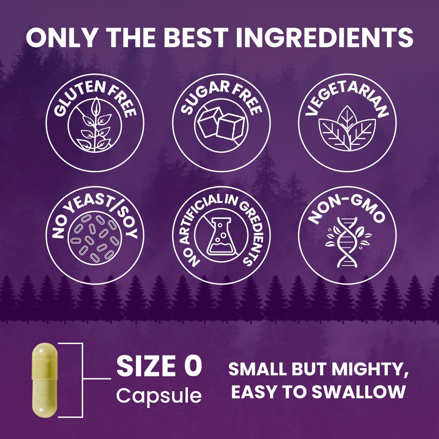 Berberine HCL Capsules 1200 mg - Berberine Supplement with Ceylon Cinnamon, Chromium, Veggies Blend - Supports Metabolism and Immune System, Gut Health - 120 ct Easy to Swallow Vegan Pills - Medaid International