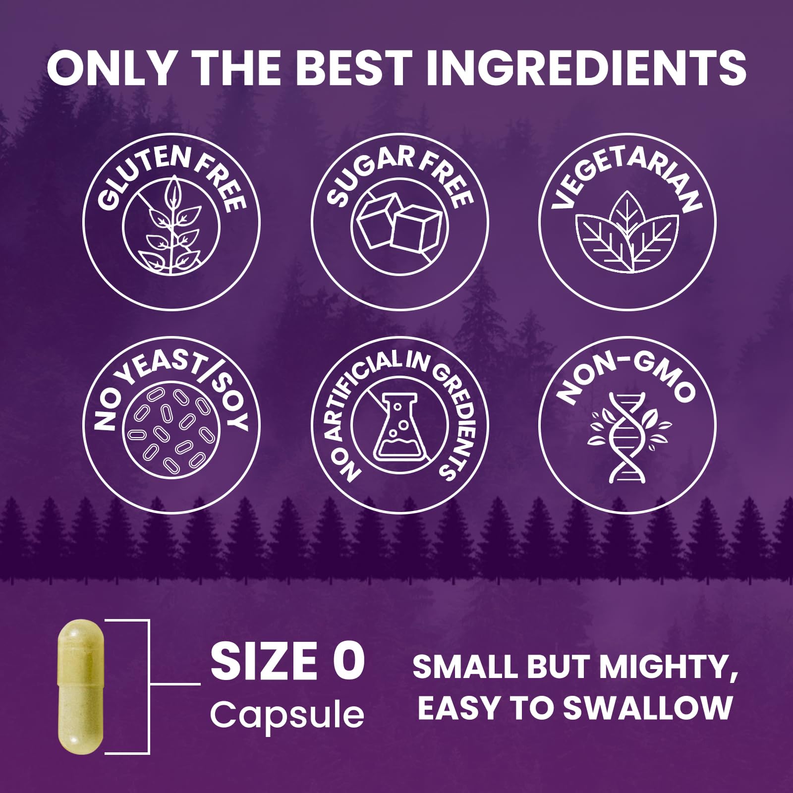 Berberine HCL Capsules 1200 mg - Berberine Supplement with Ceylon Cinnamon, Chromium, Veggies Blend - Supports Metabolism and Immune System, Gut Health - 120 ct Easy to Swallow Vegan Pills - Medaid International