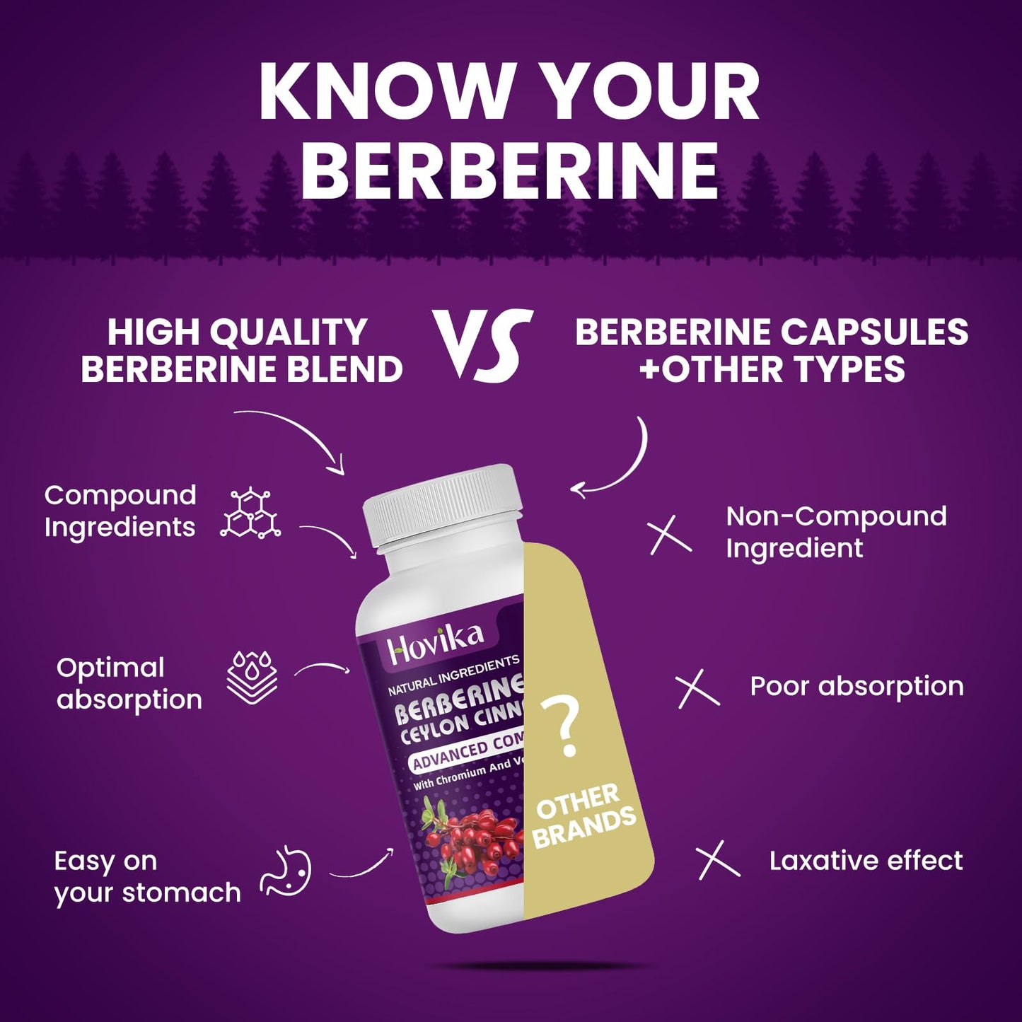 Berberine HCL Capsules 1200 mg - Berberine Supplement with Ceylon Cinnamon, Chromium, Veggies Blend - Supports Metabolism and Immune System, Gut Health - 120 ct Easy to Swallow Vegan Pills - Medaid International