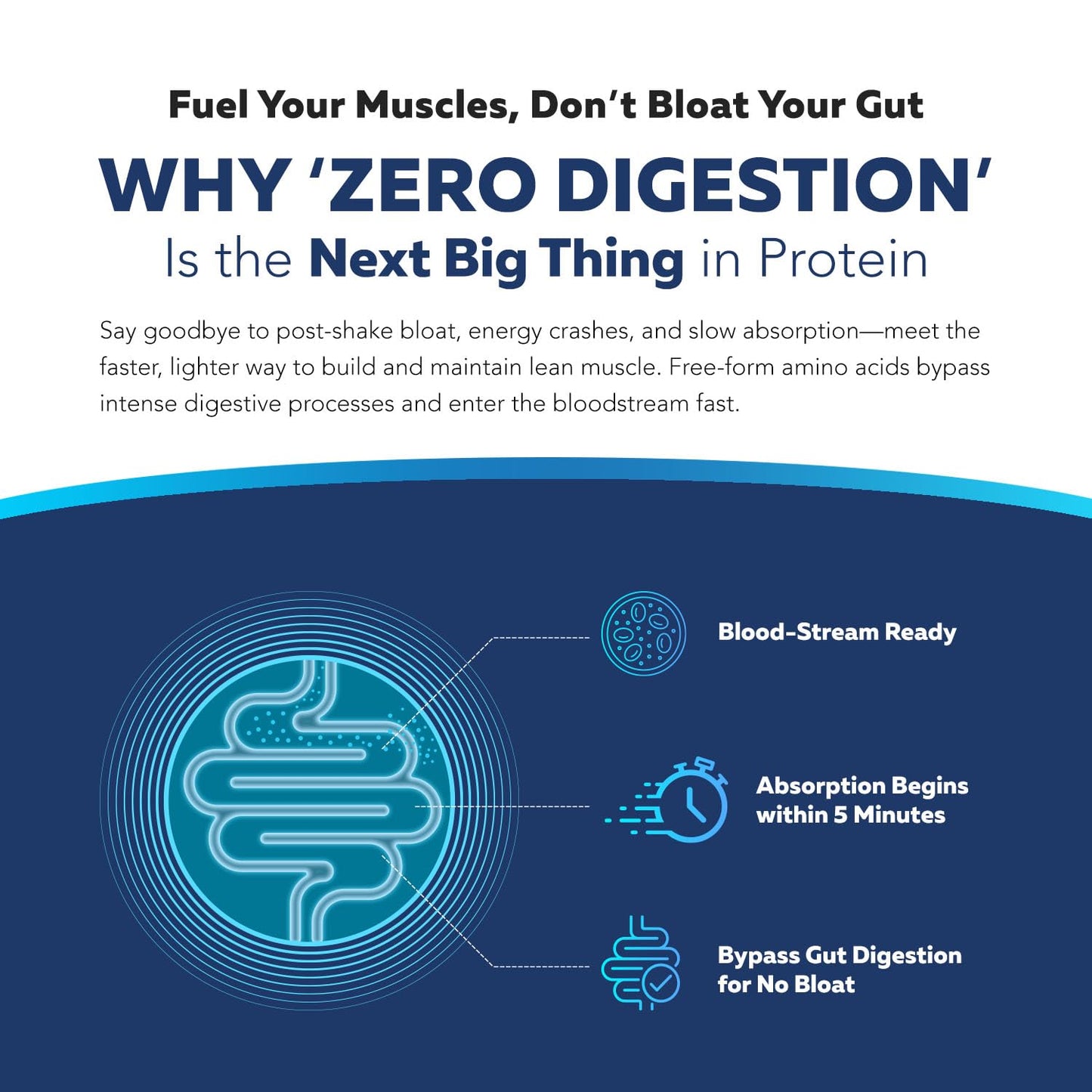 Instant Aminos - EAA+BCAA - 10 Essential Amino Acids Supplement - Rapid Absorption, Zero Digestion - Supports Lean Muscle, Recovery & Aging - 321% DIAAS Protein Score - Wild Berry (30 Servings) - Medaid International