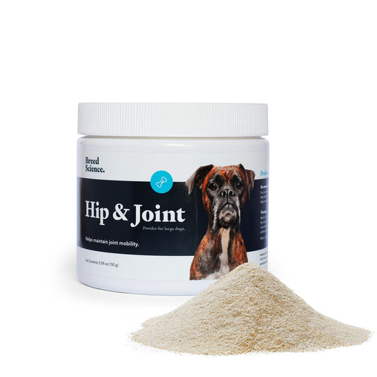 Hip and Joint Food Supplement for Dogs, Large Breeds- Glucosamine and Chondroitin Powder with Green Lipped Mussel - Pain, Inflammation Relief with Vitamins - Senior Health Supplies for Arthritis