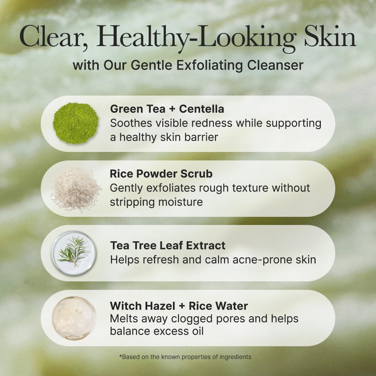 ARENCIA Korean Rice Mochi Face Cleanser - Face Wash, Gentle Scrub All in One for Deep Cleansing, Moisturizing, Pore Minimizing, Acne-Prone Skin, Removing Blackhead with Rice Water & Green Tea - Medaid International
