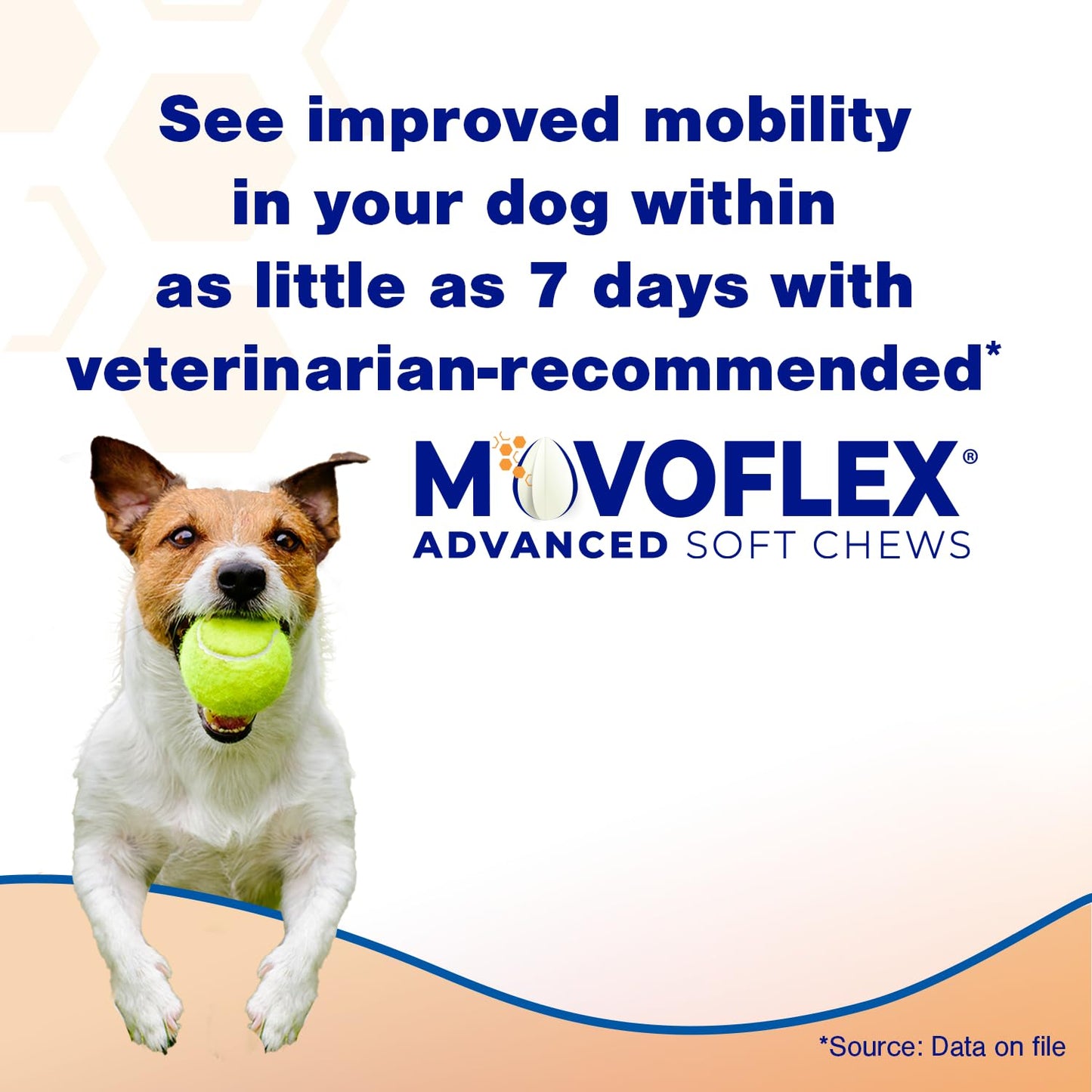 Advanced Soft Chews Hip and Joint Support Supplement for Medium Dogs - Movoflex 60 Count by Virbac