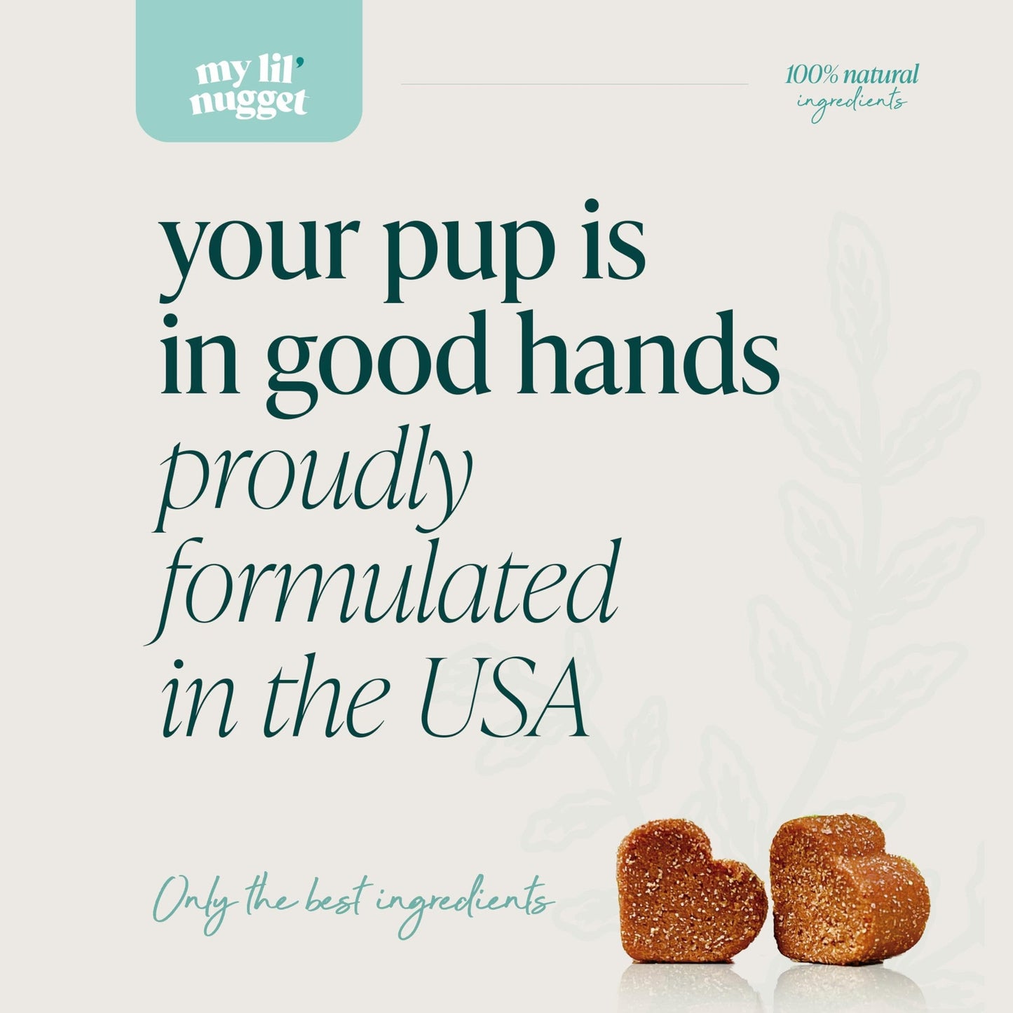 My Lil’ Nugget – Vet-Approved Hip and Joint Support for Dogs | All-Natural Dog Arthritis & Joint Pain Relief | Glucosamine, Chondroitin & Hemp | All-Ages – Senior Dog to Puppy | 90 Bacon Flavor Chews