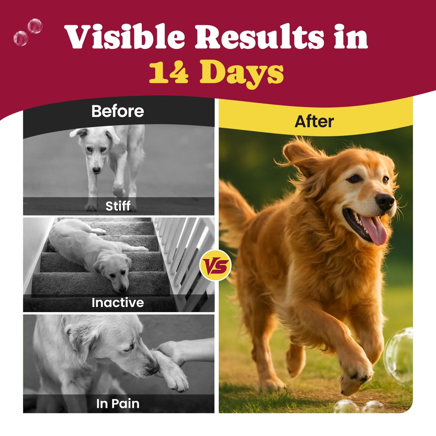Glucosamine for Dogs - Hip and Joint Supplement Chews for Senior & Large Breed, Joint Supplement for Dogs with Chondroitin, Wuffe Joint Chews for Pain Relief - 60-Day Satisfaction Guarantee - 180 Ct