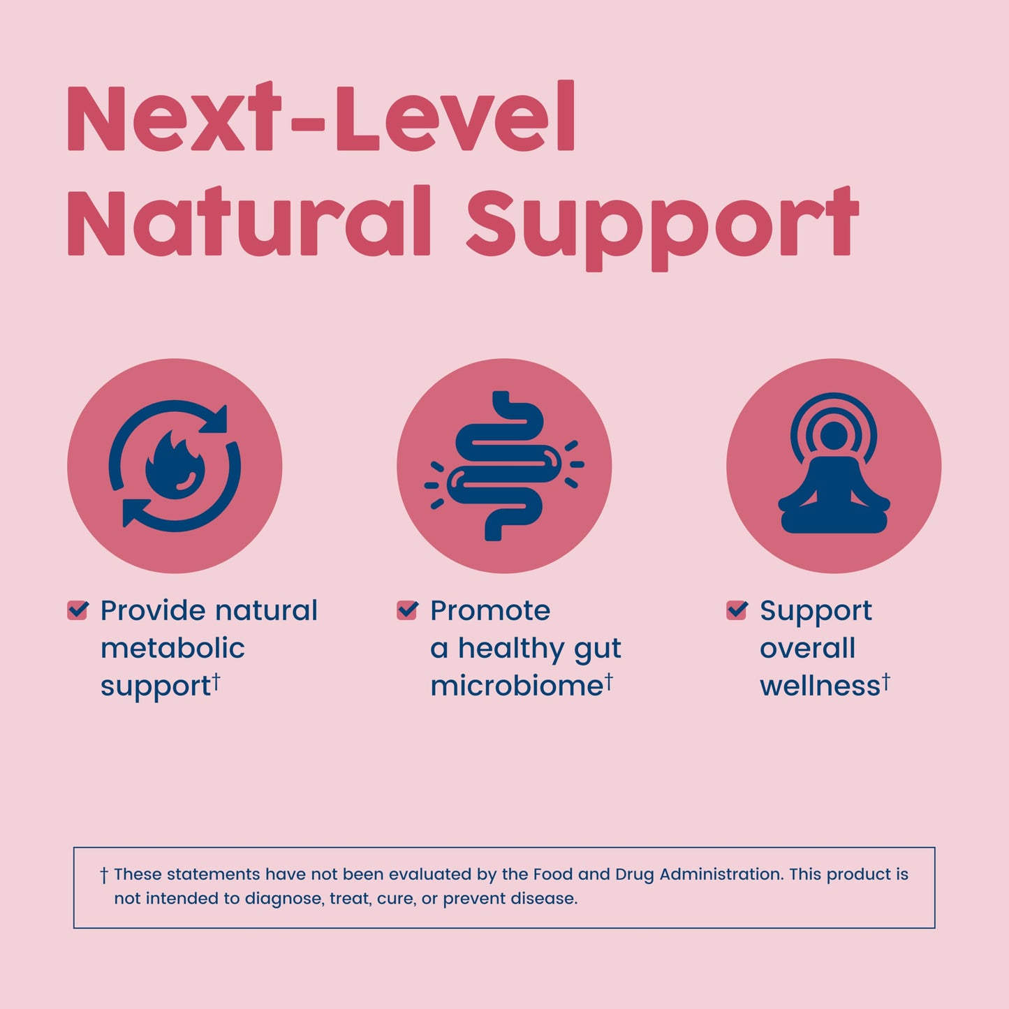 NativePath Native Berberine HCl 3-in-1 Complex with Chromium & Bitter Melon Extract - 500mg Premium Metabolic Support - 60 Capsules - Medaid International