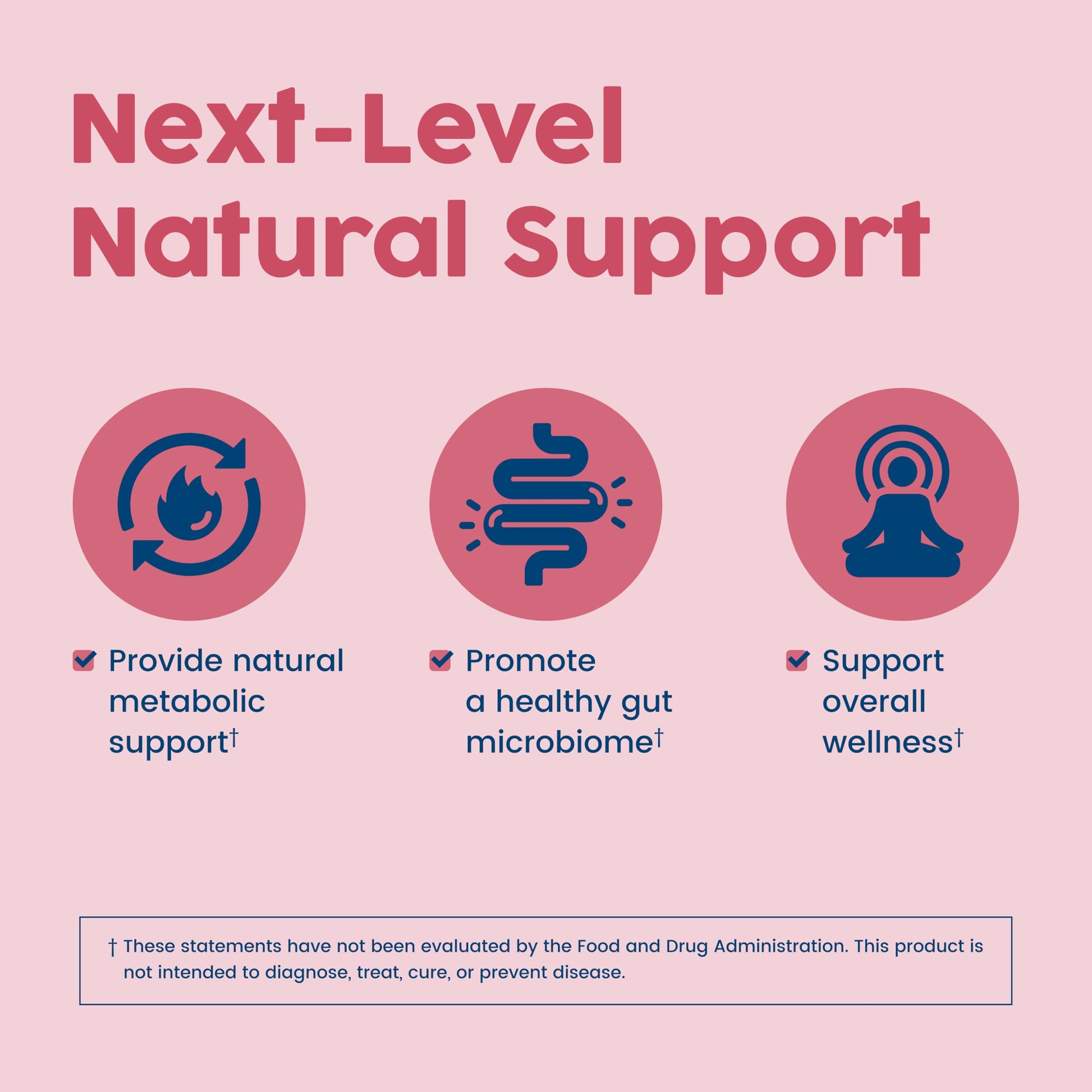 NativePath Native Berberine HCl 3-in-1 Complex with Chromium & Bitter Melon Extract - 500mg Premium Metabolic Support - 60 Capsules - Medaid International