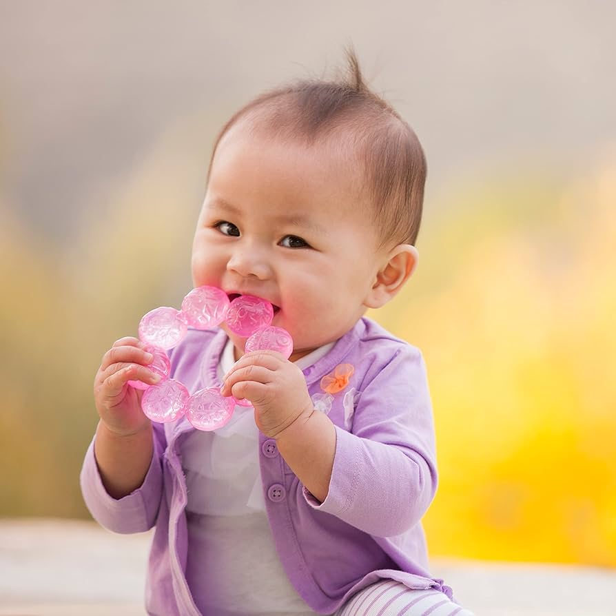 Infantino Water Teether